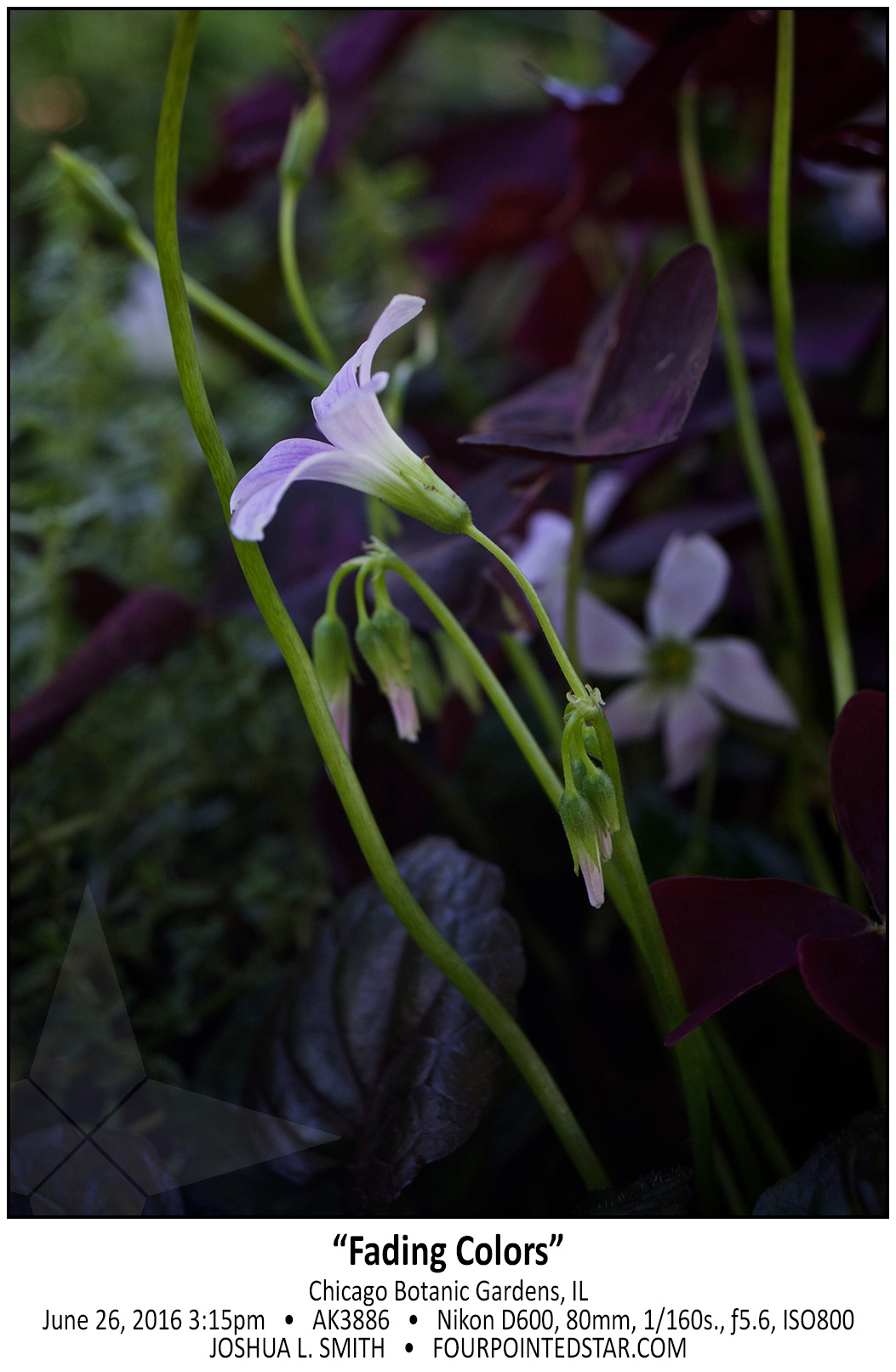 AL3886 160626 151510