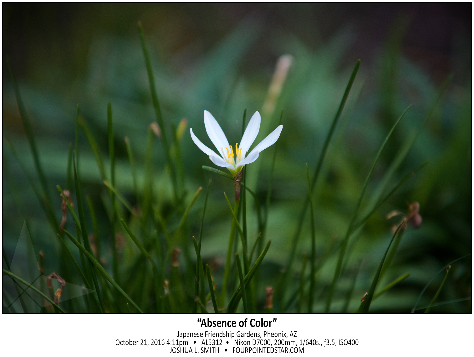 AL5312 161021 161147