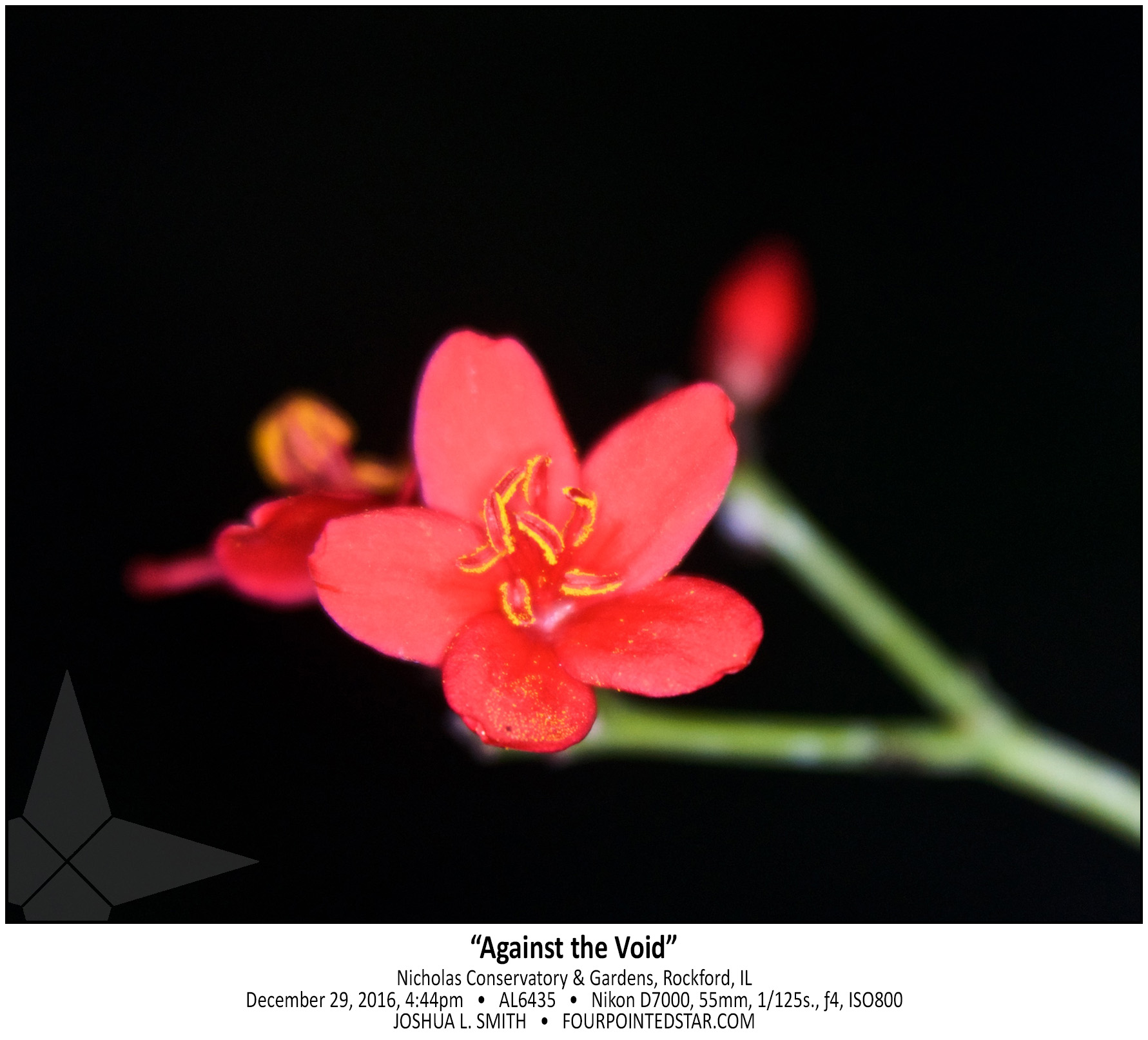 AL6435 161229 164436