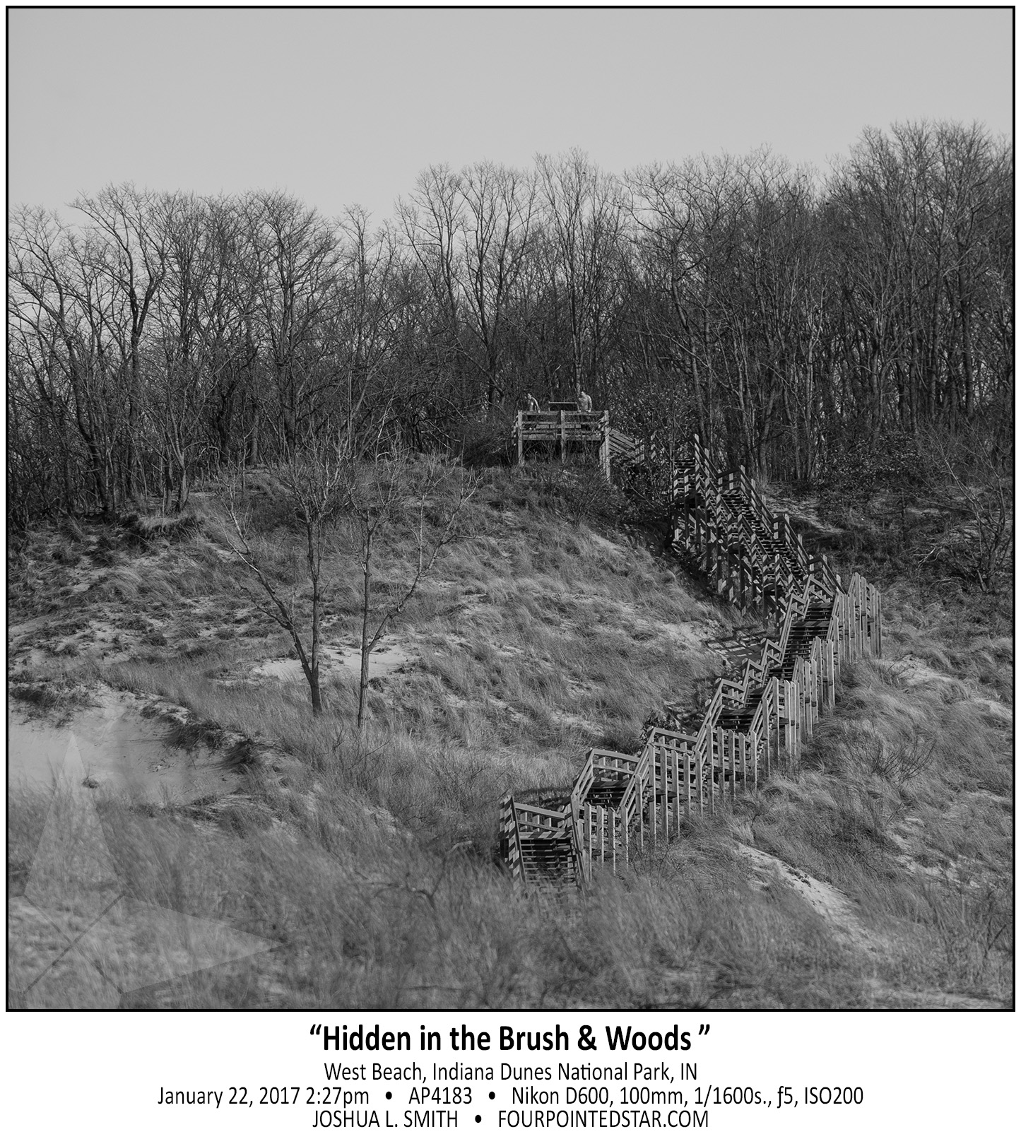 AP4183 170122 142712