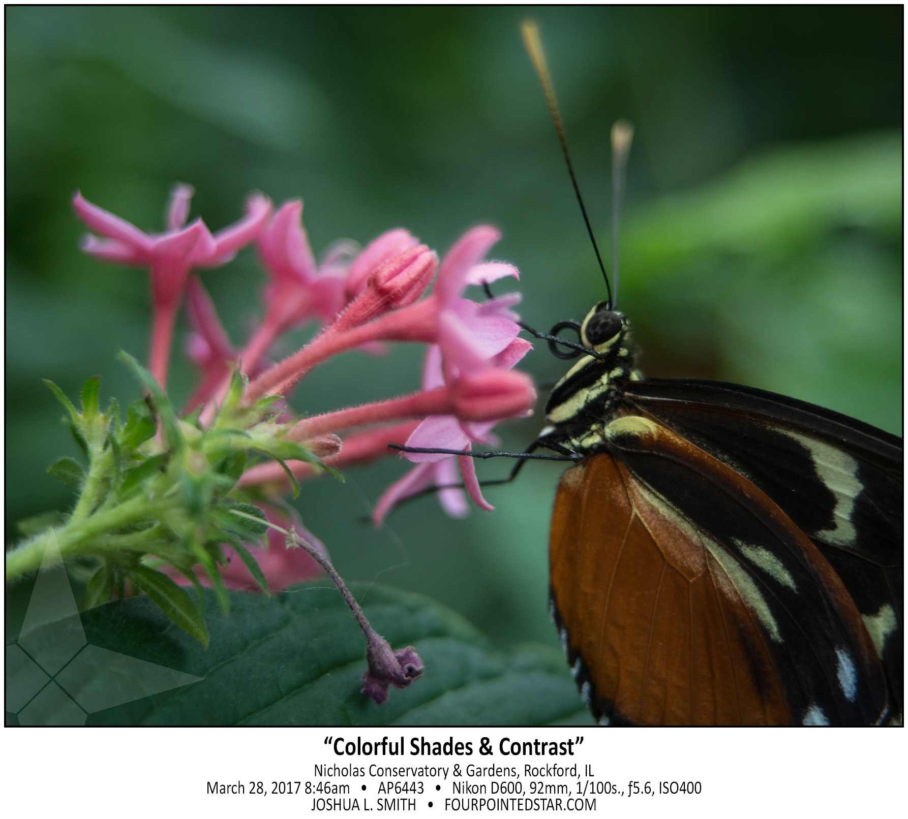 AP6443 170328 084640