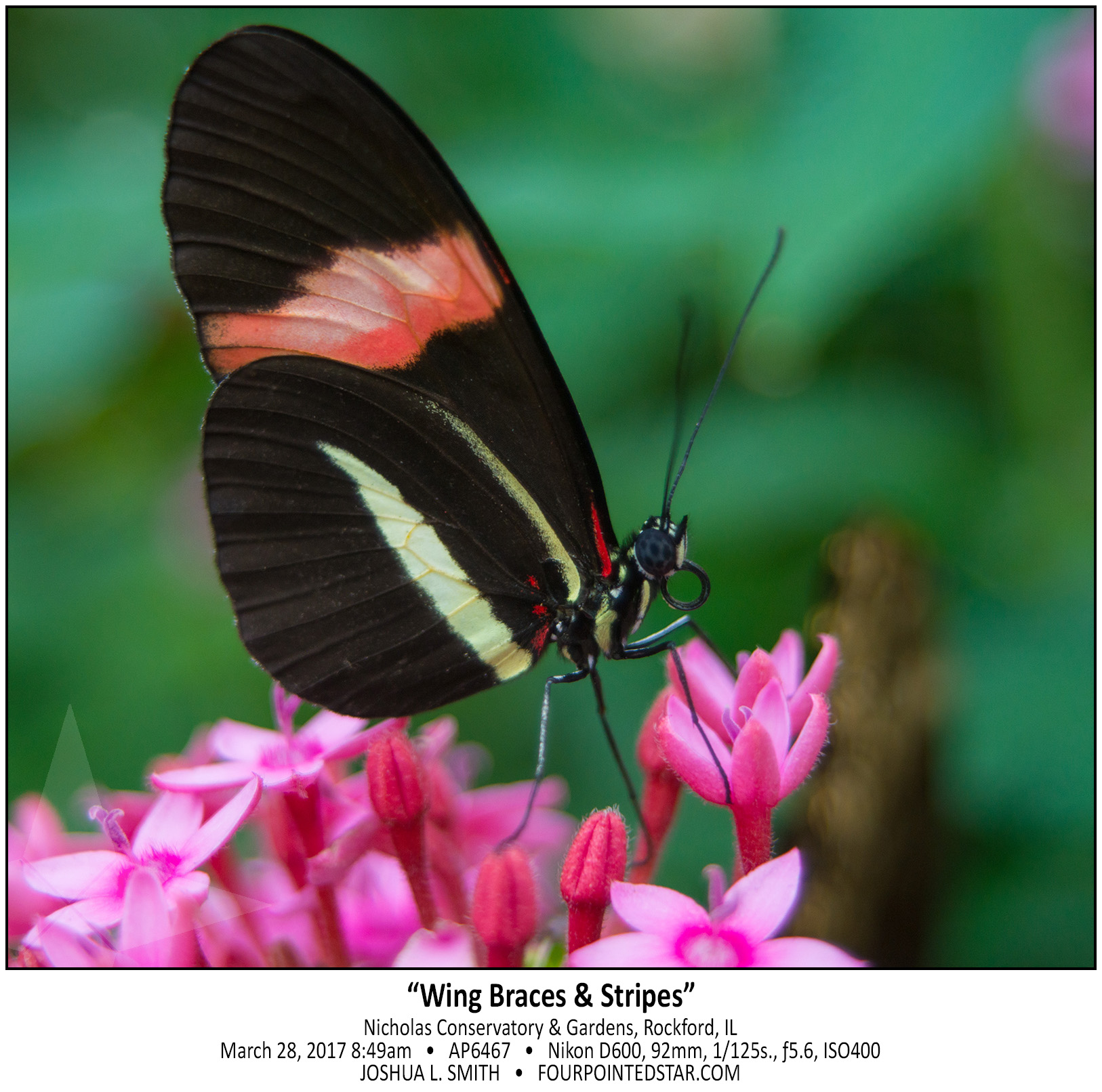 AP6467 170328 084924