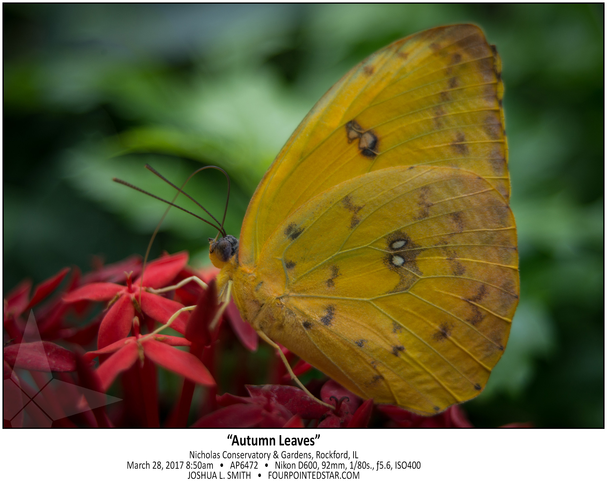 AP6472 170328 085040