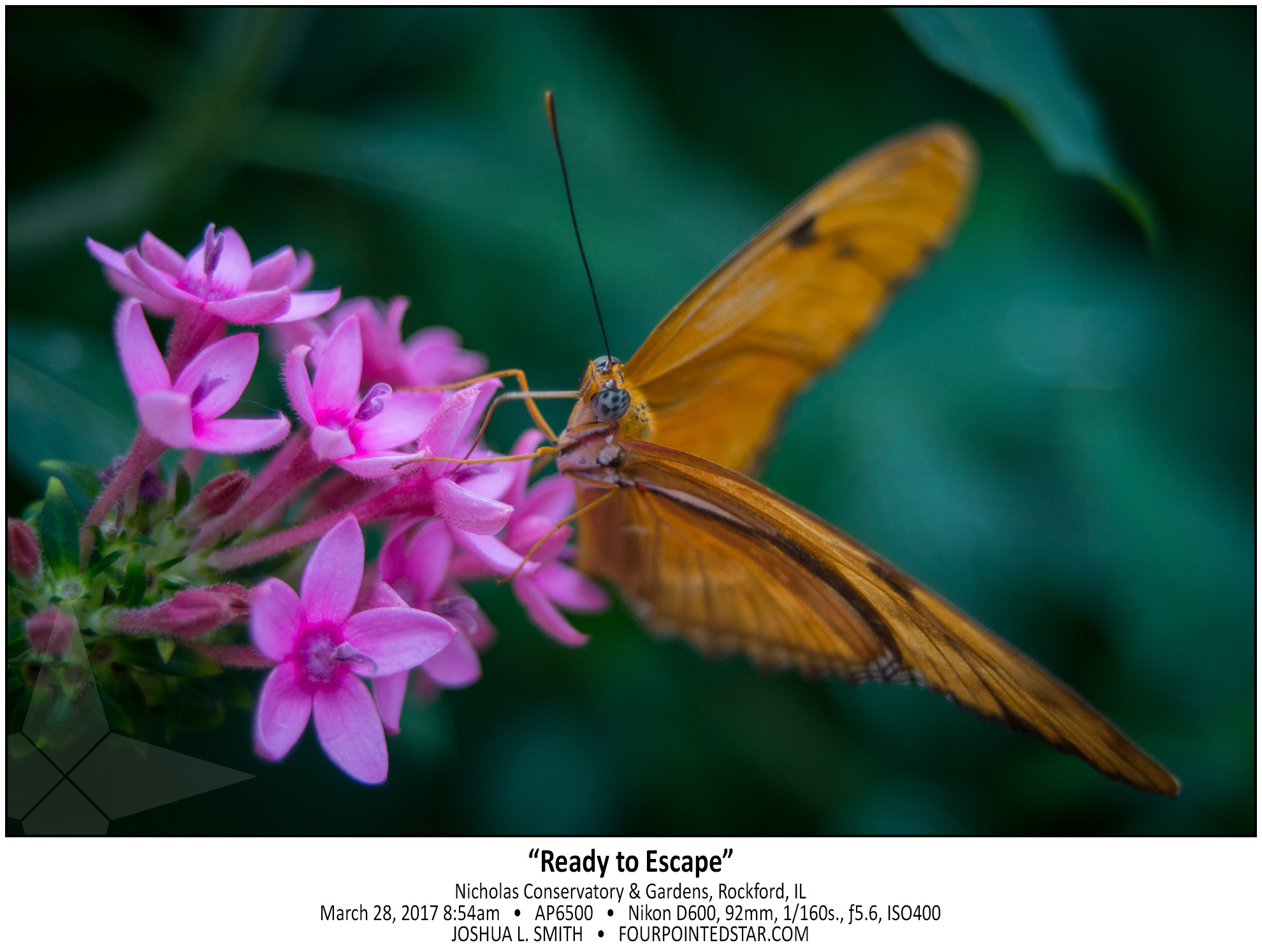 AP6500 170328 085404