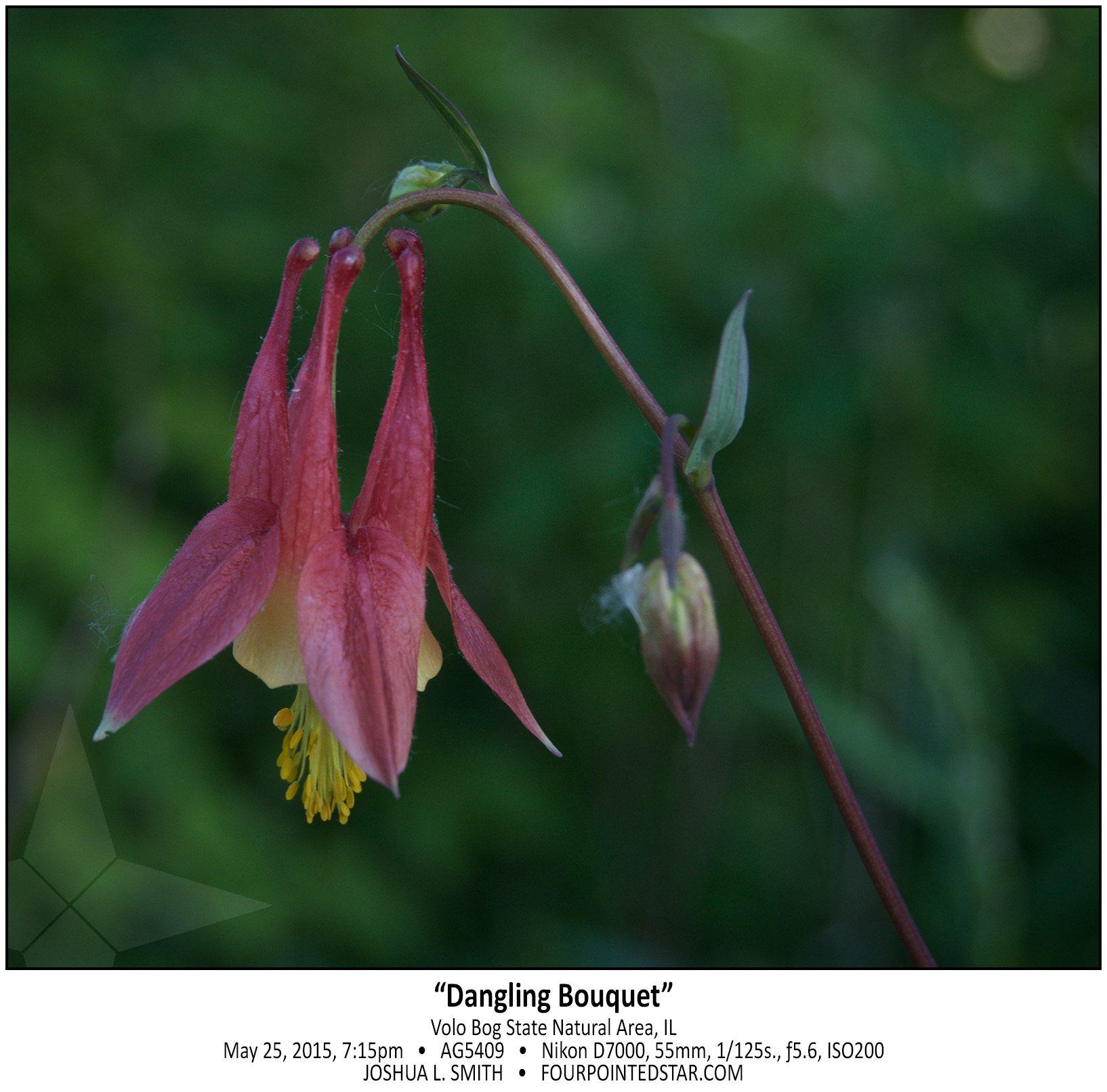 AG5409 150525 191517