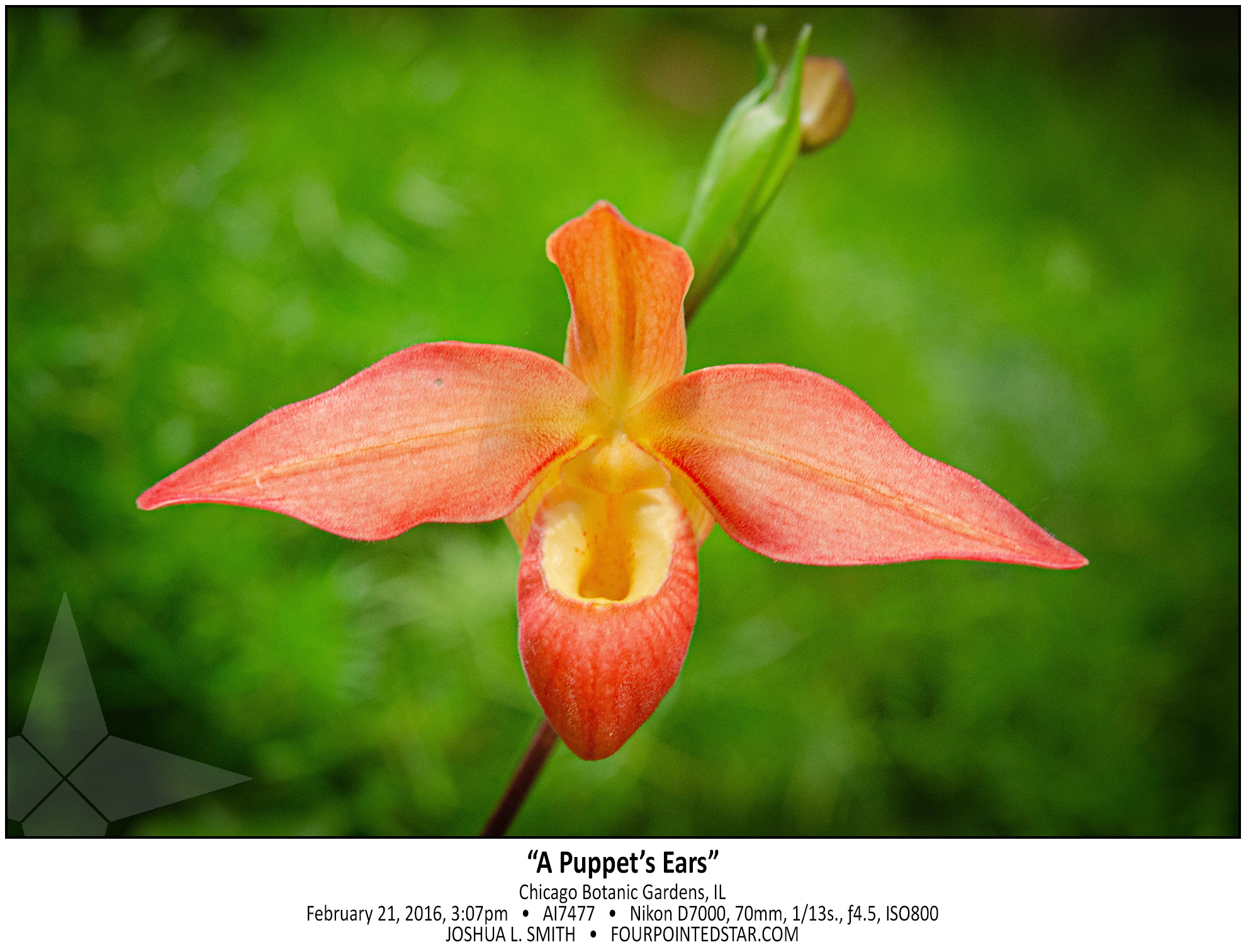 AI7477 160221 150740