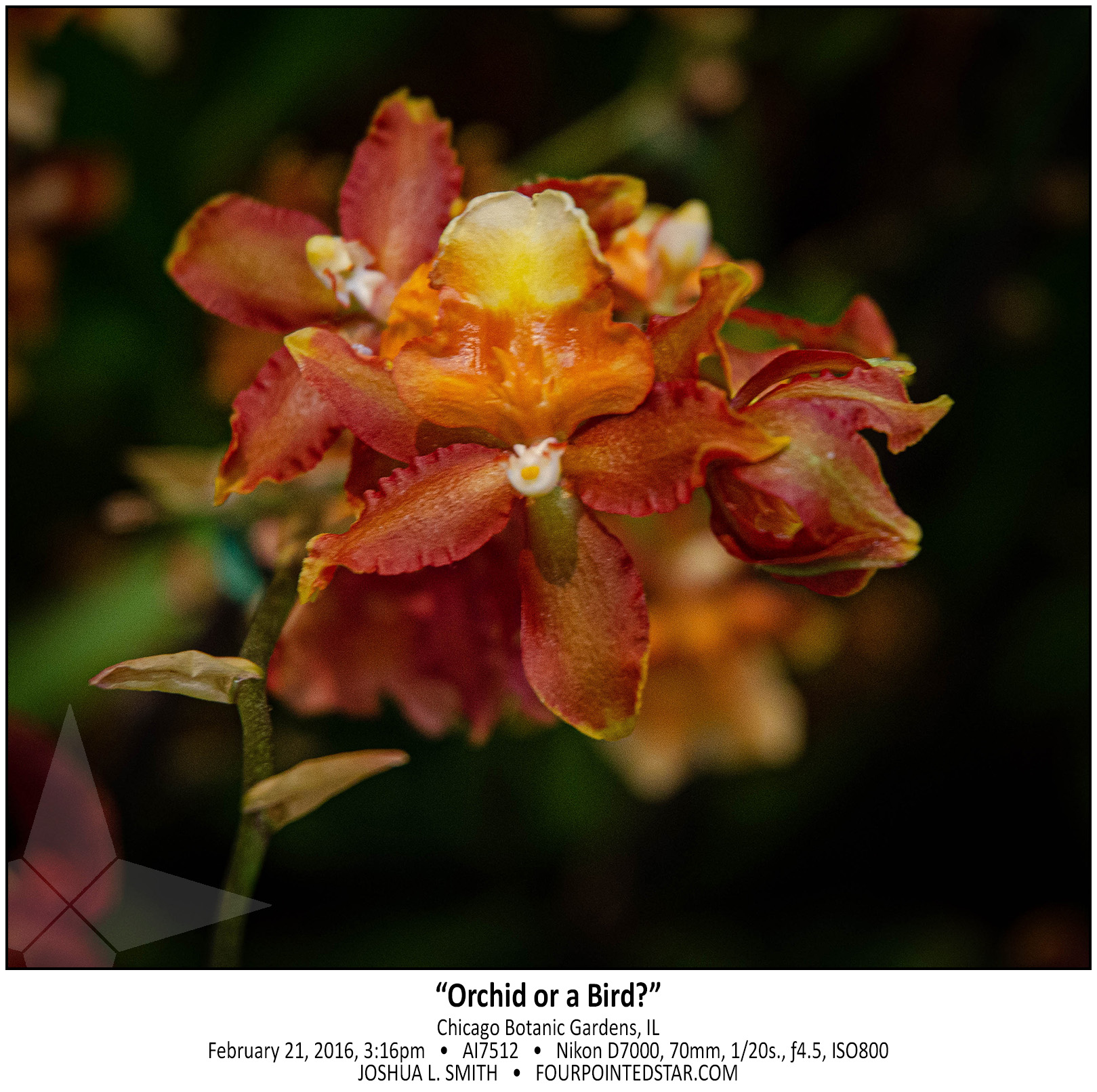 AI7512 160221 151645