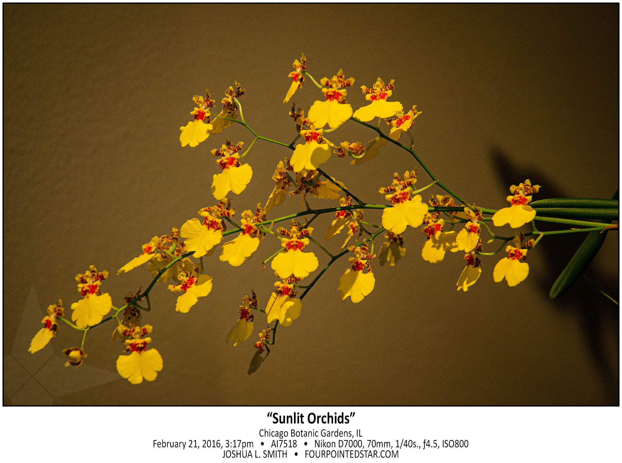 AI7518 160221 151755