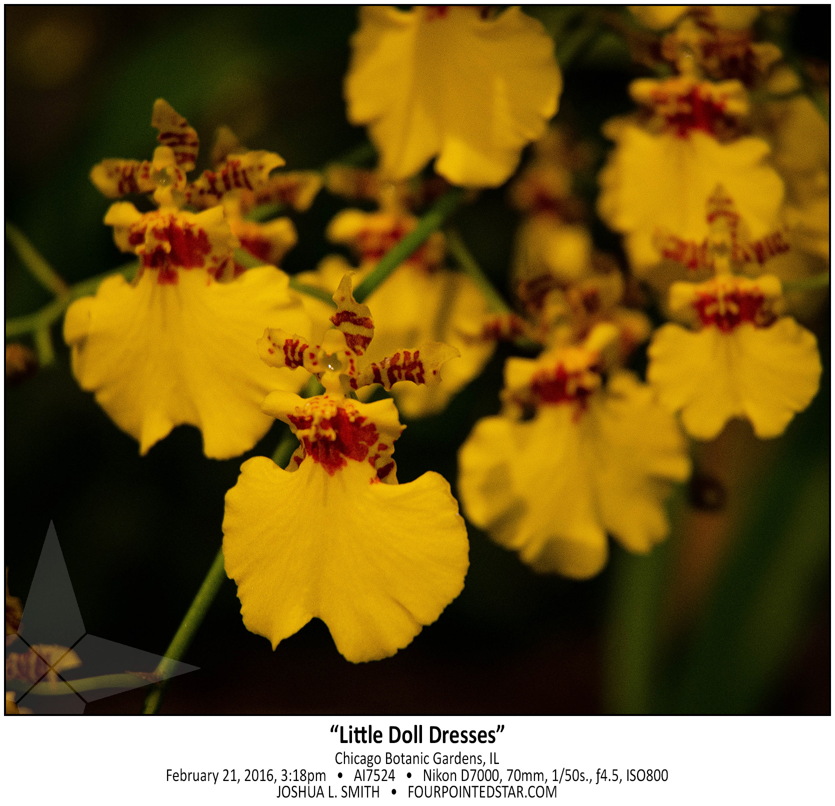 AI7524 160221 151847