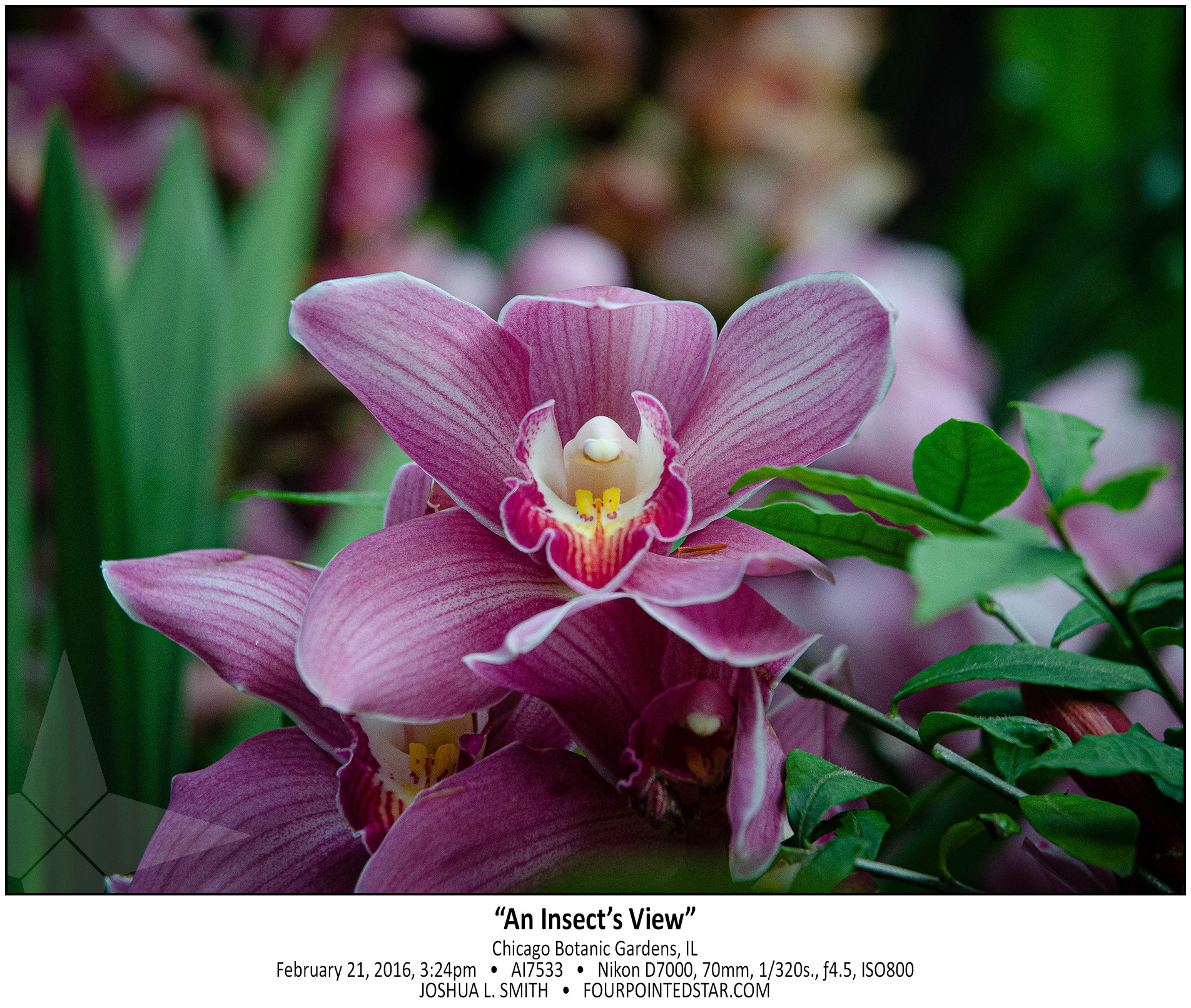 AI7533 160221 152458