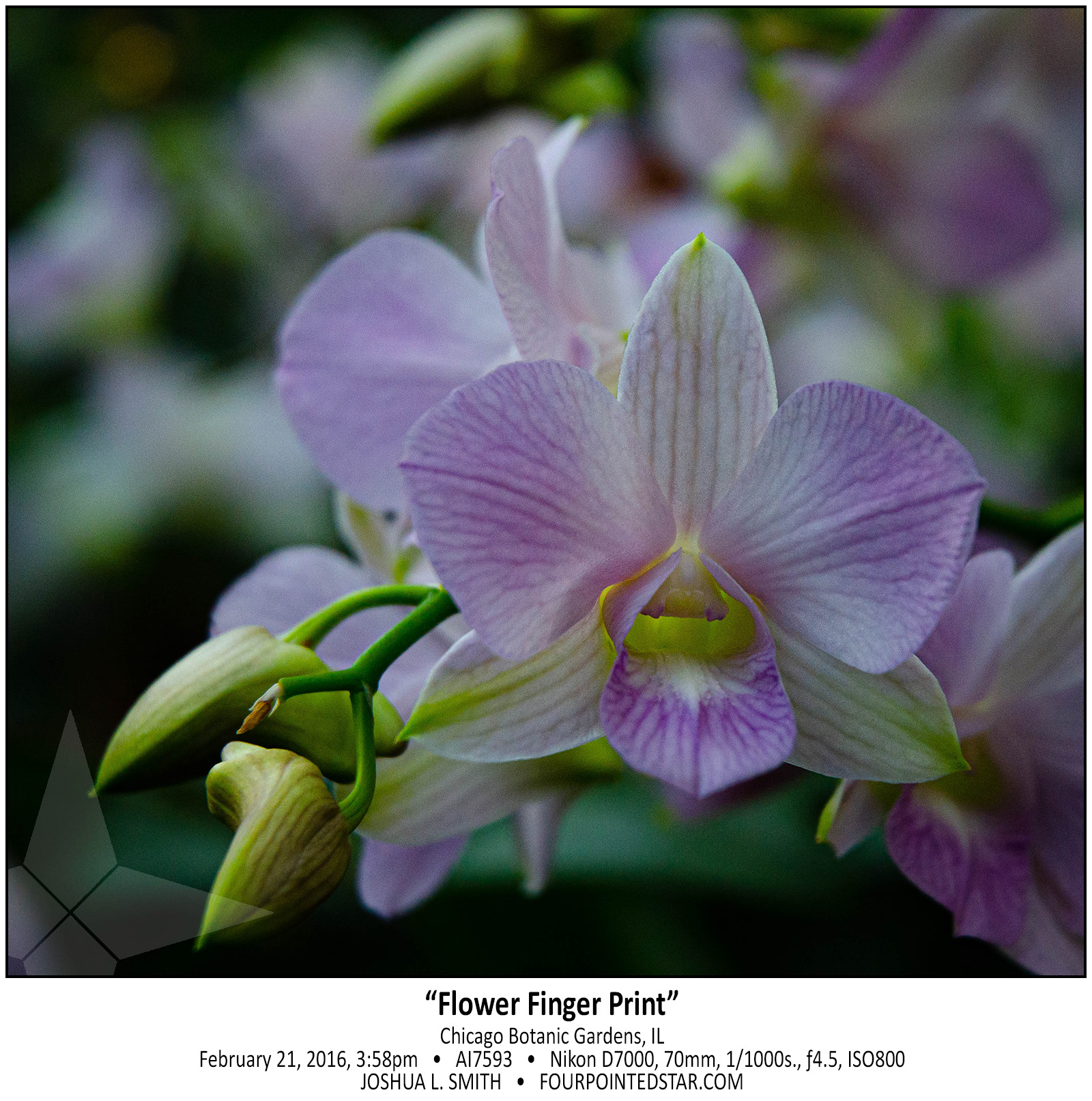 AI7593 160221 155849