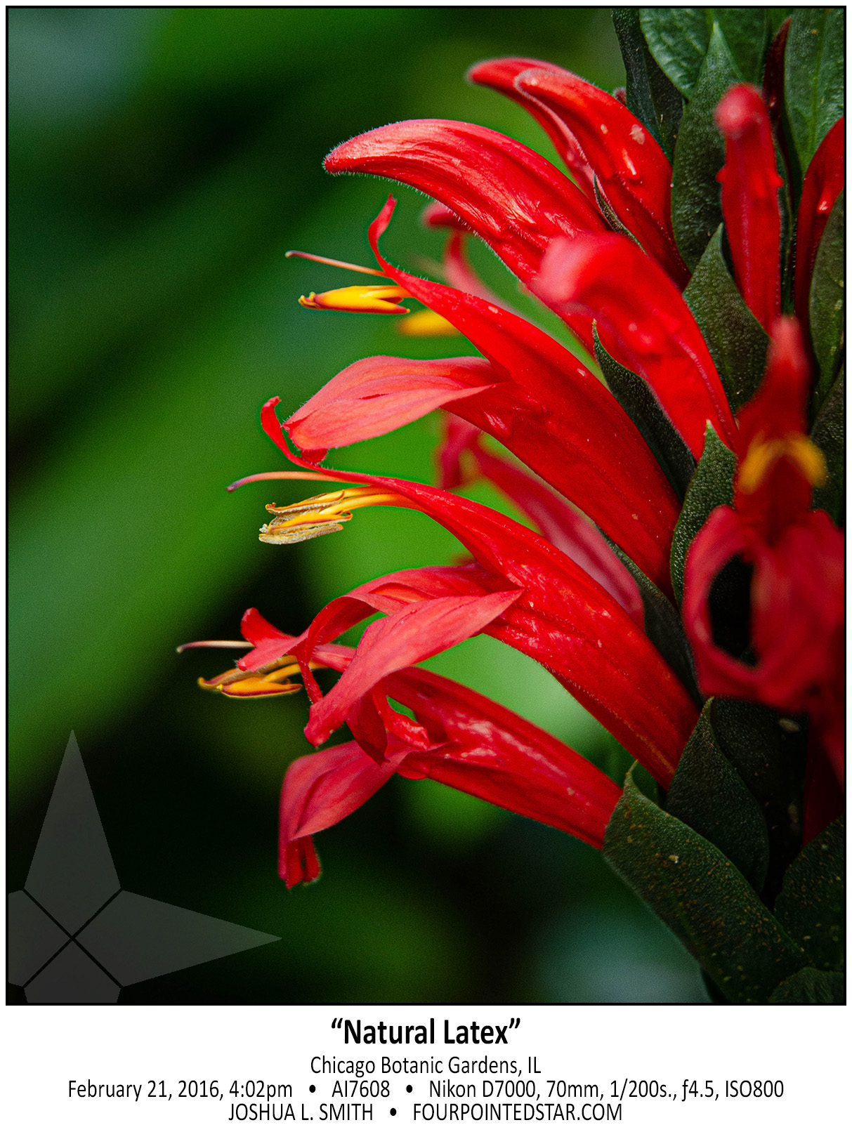 AI7608 160221 160259