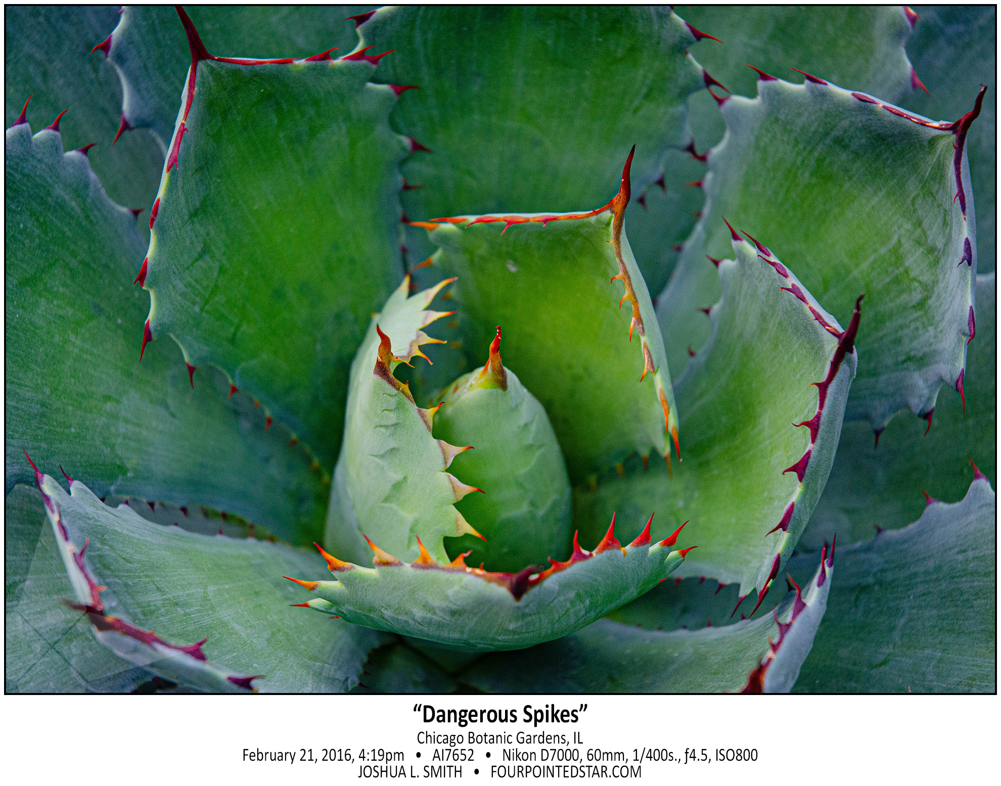 AI7652 160221 161949