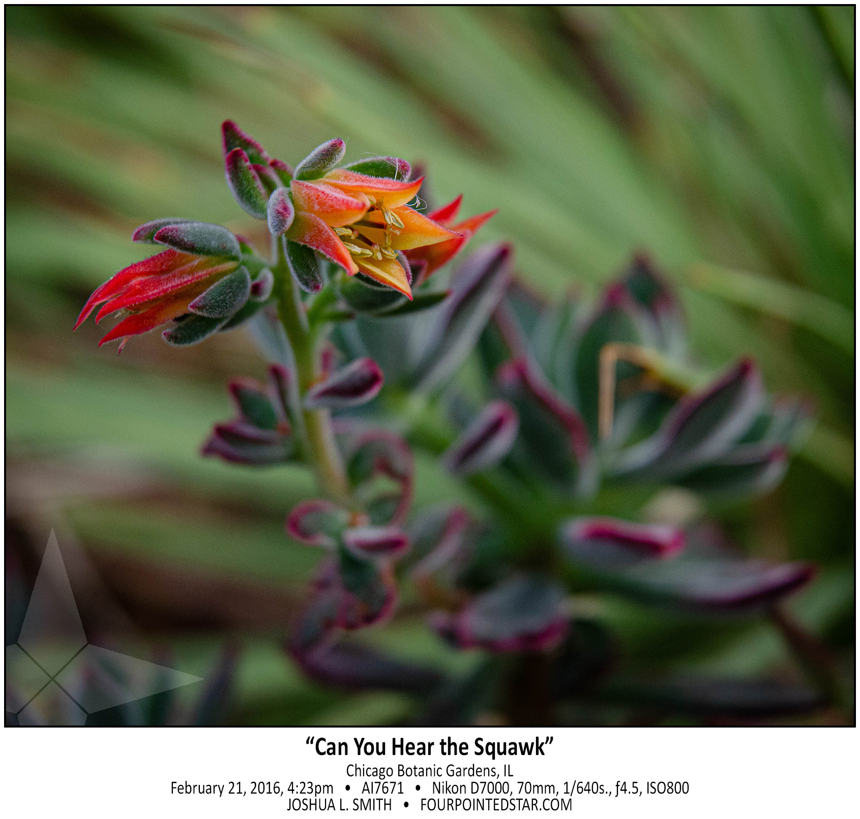 AI7671 160221 162342