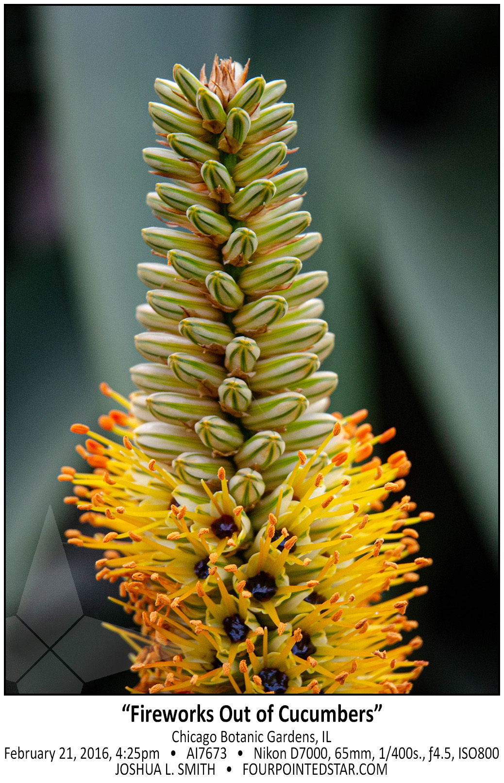 AI7673 160221 162524