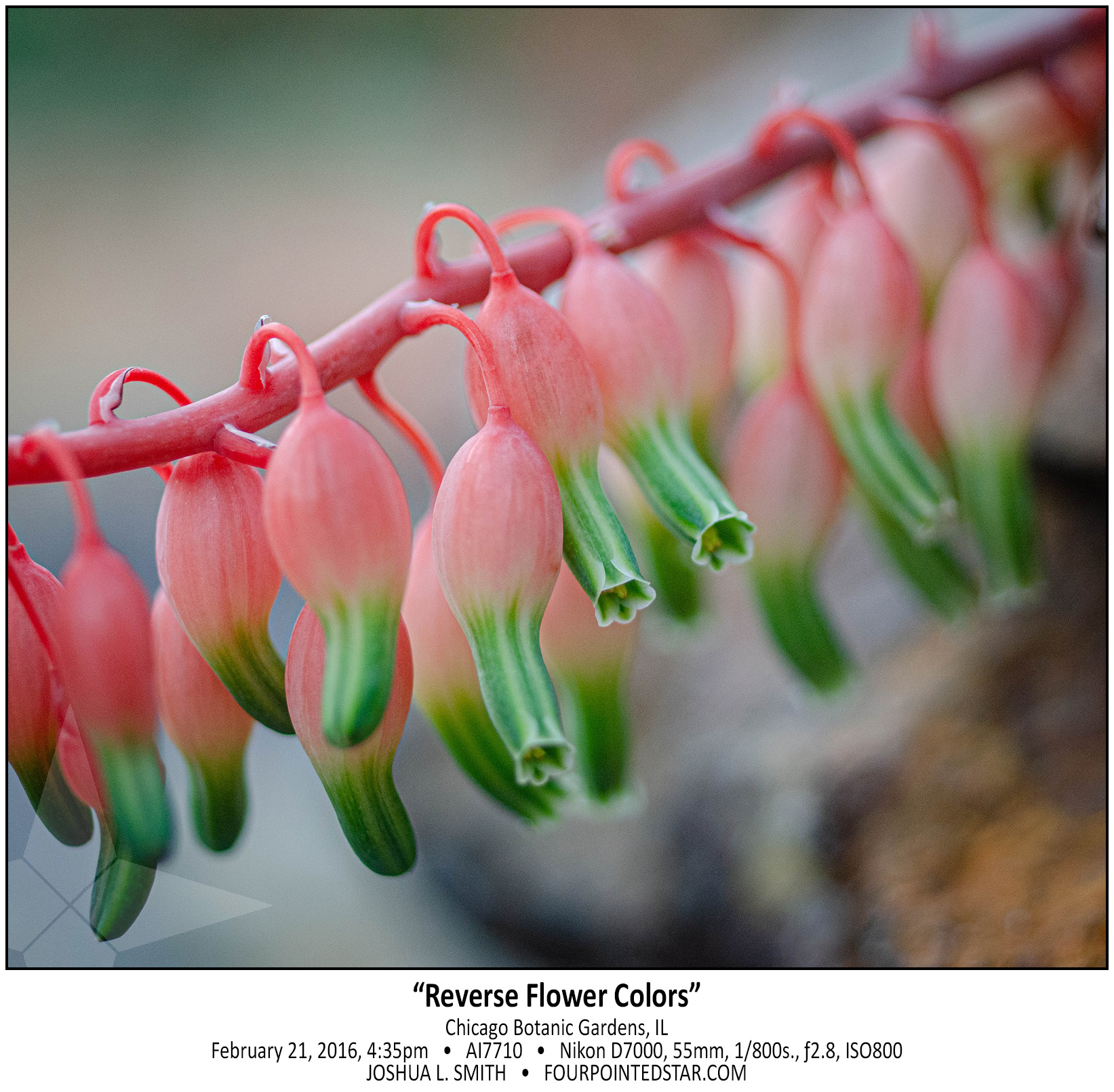 AI7710 160221 163518