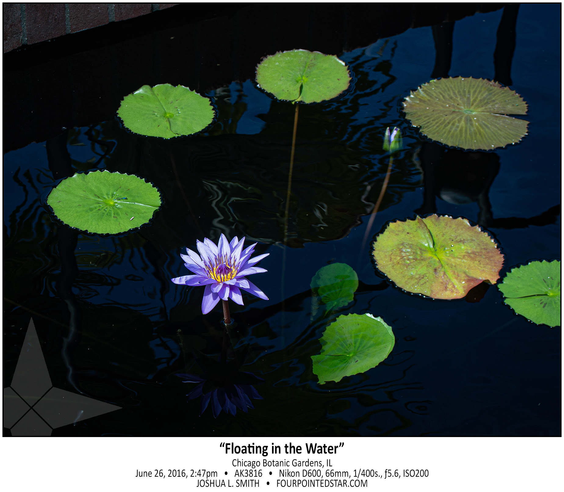 AK3816 160626 144759