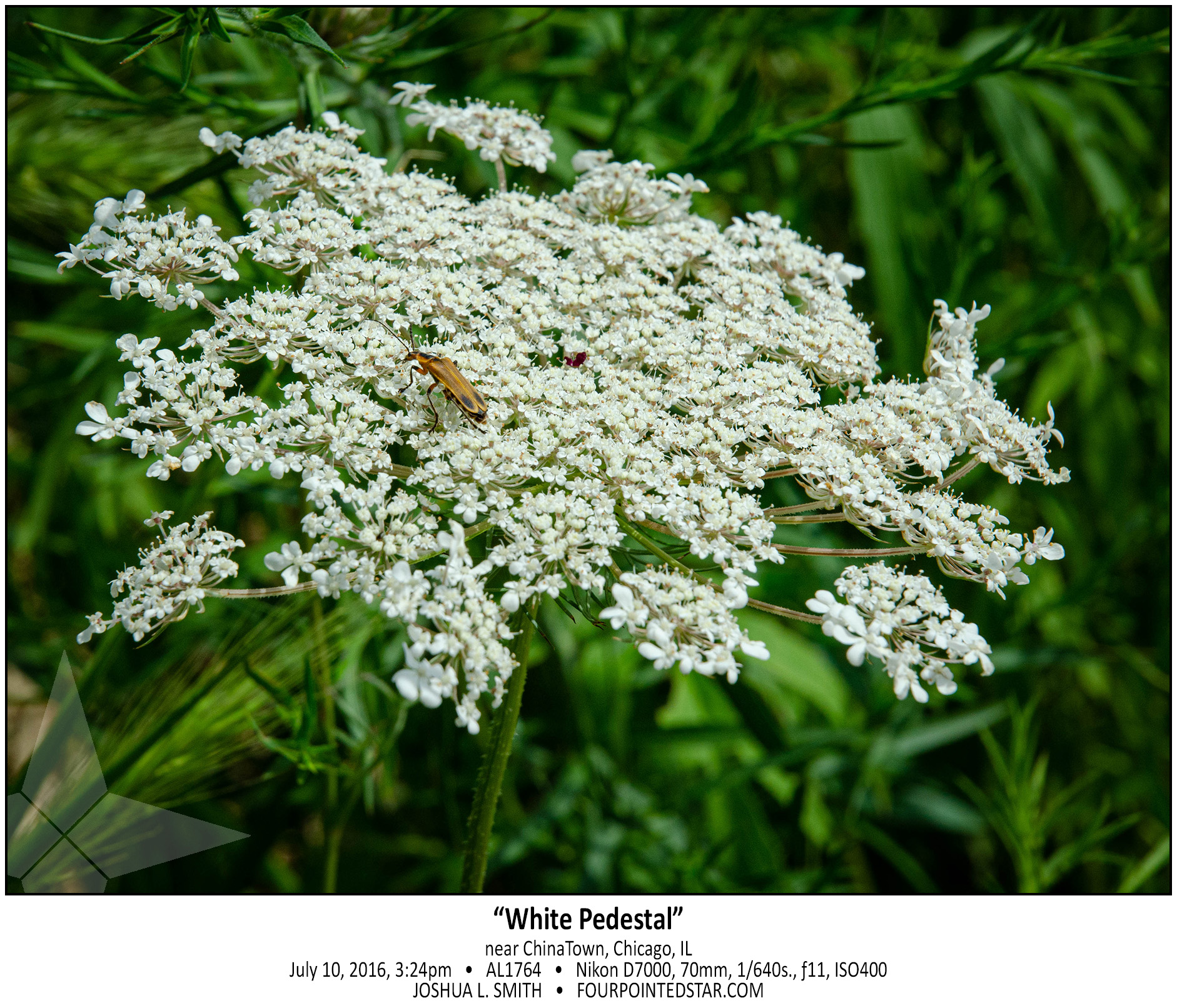 AL1764 160710 152446