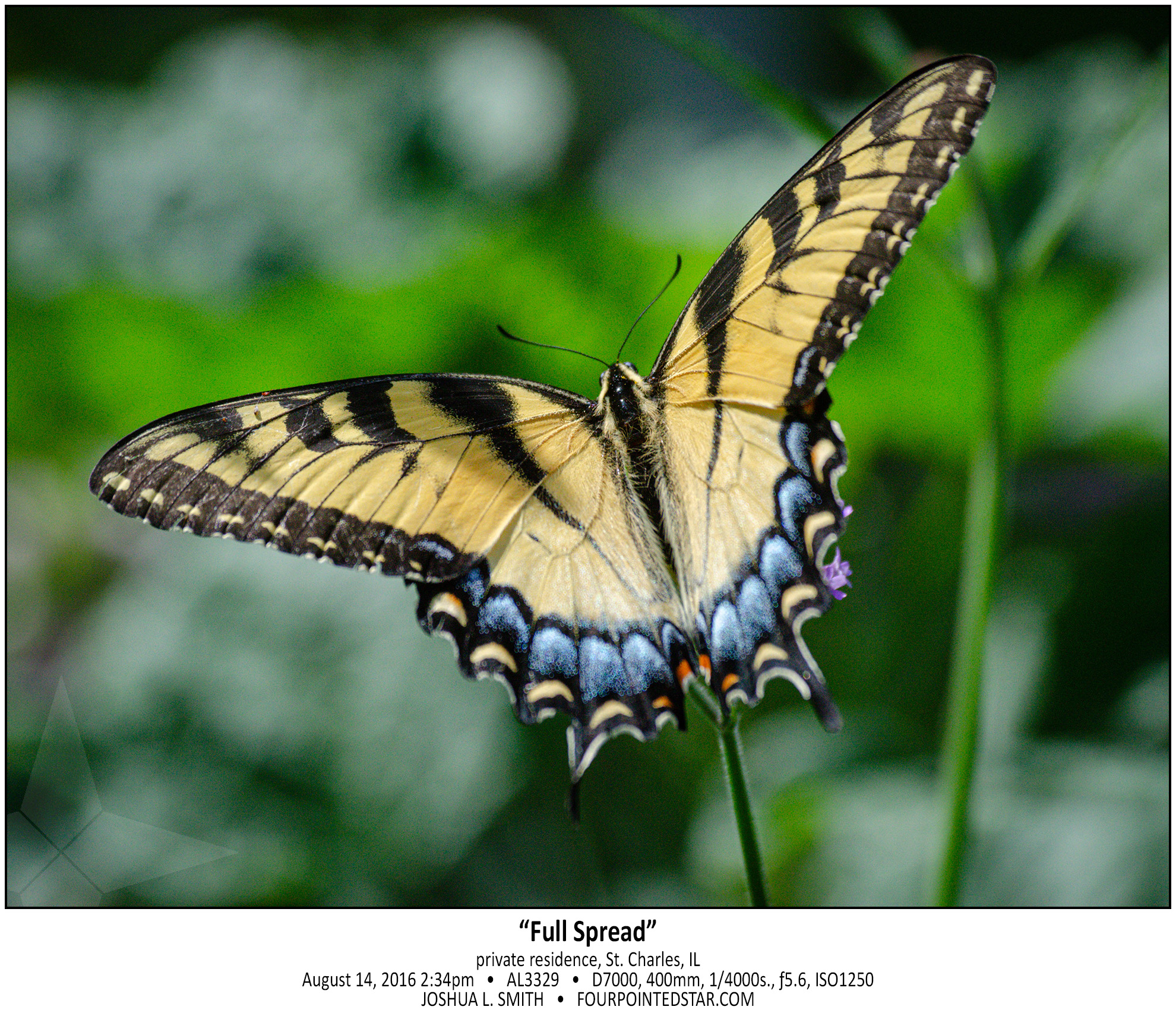 AL3329 160814 143410