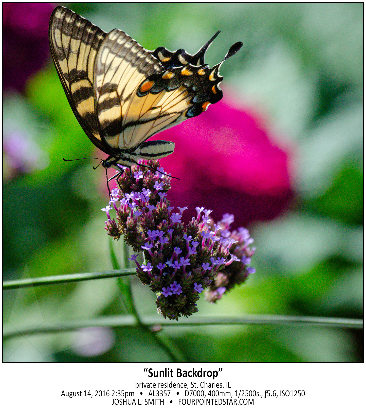 AL3357 160814 143524