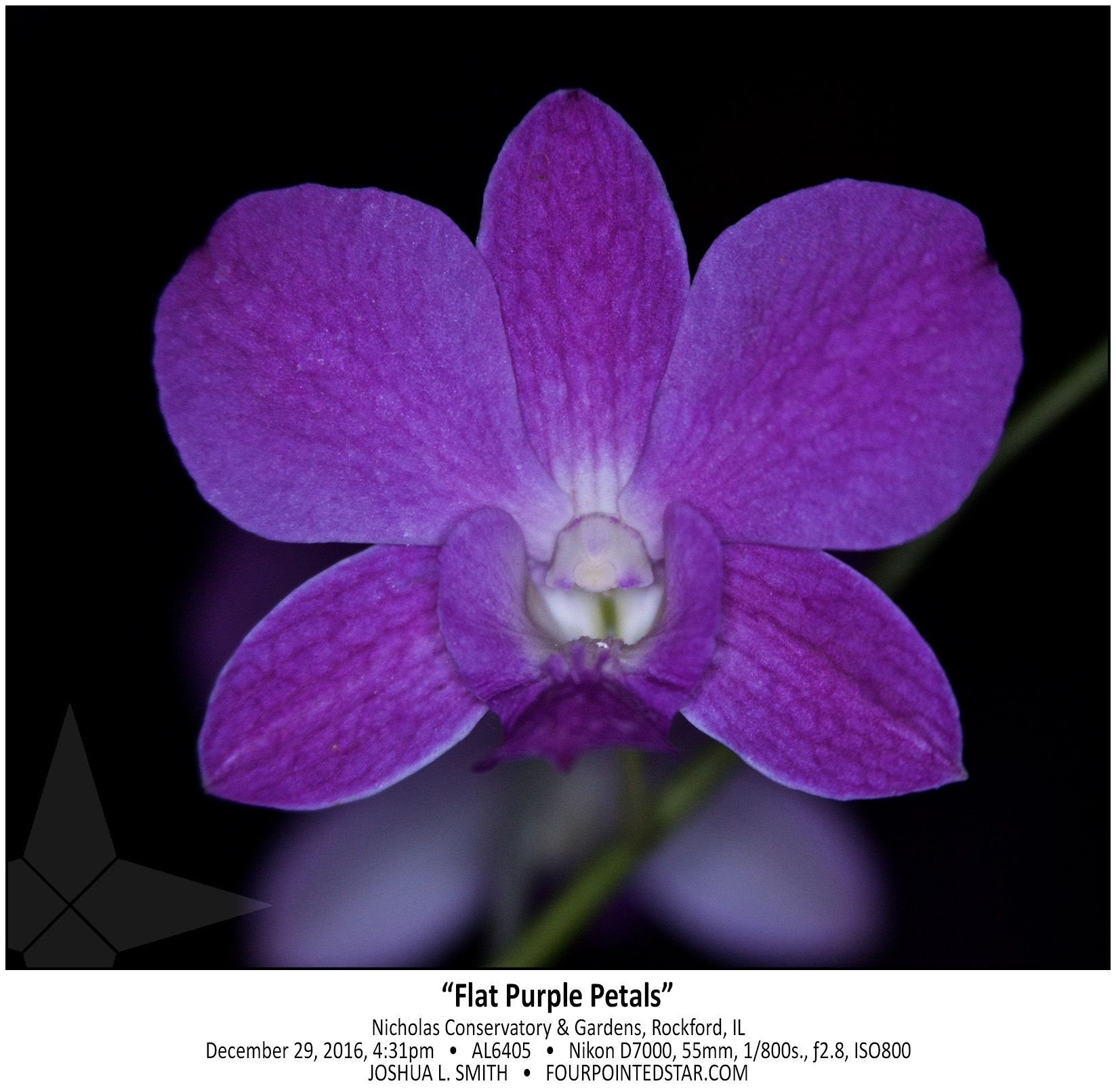 AL6405 161229 163151