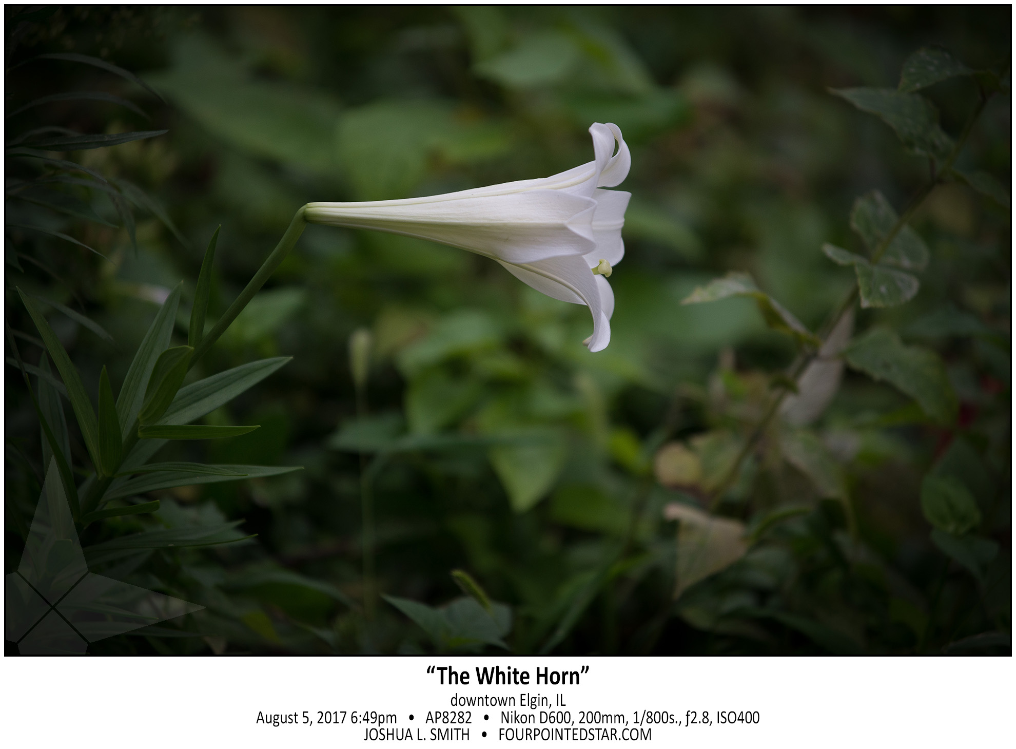 AP8282 170805 184921