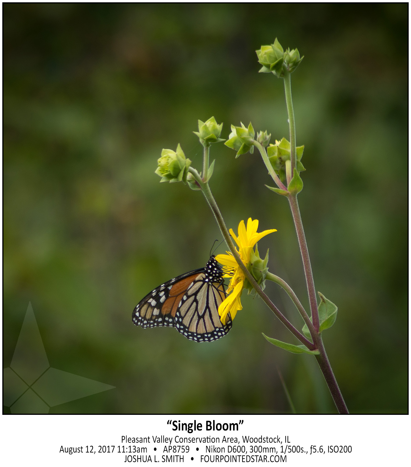 AP8759 170812 111341