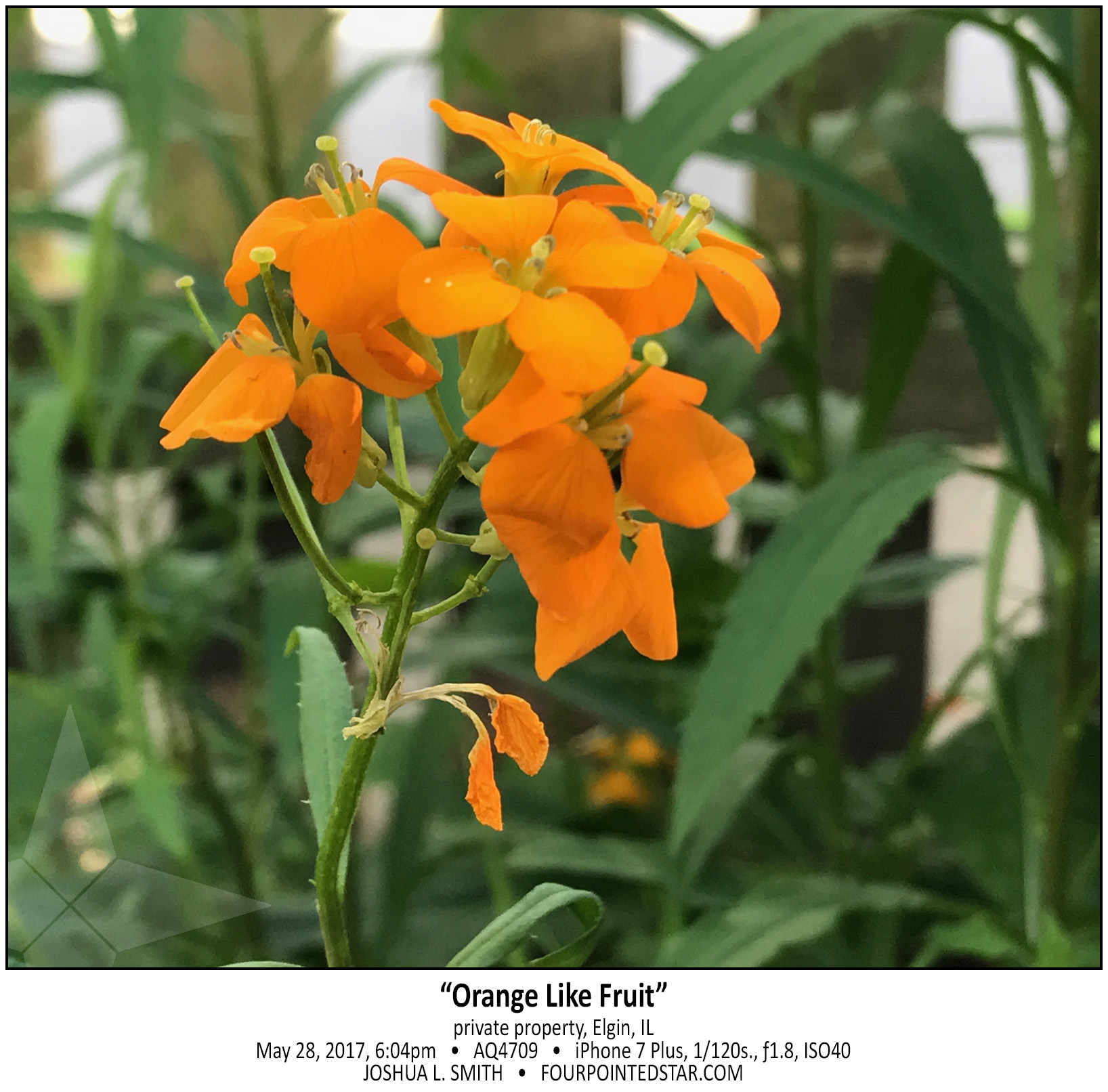 AQ4709 170528 180408