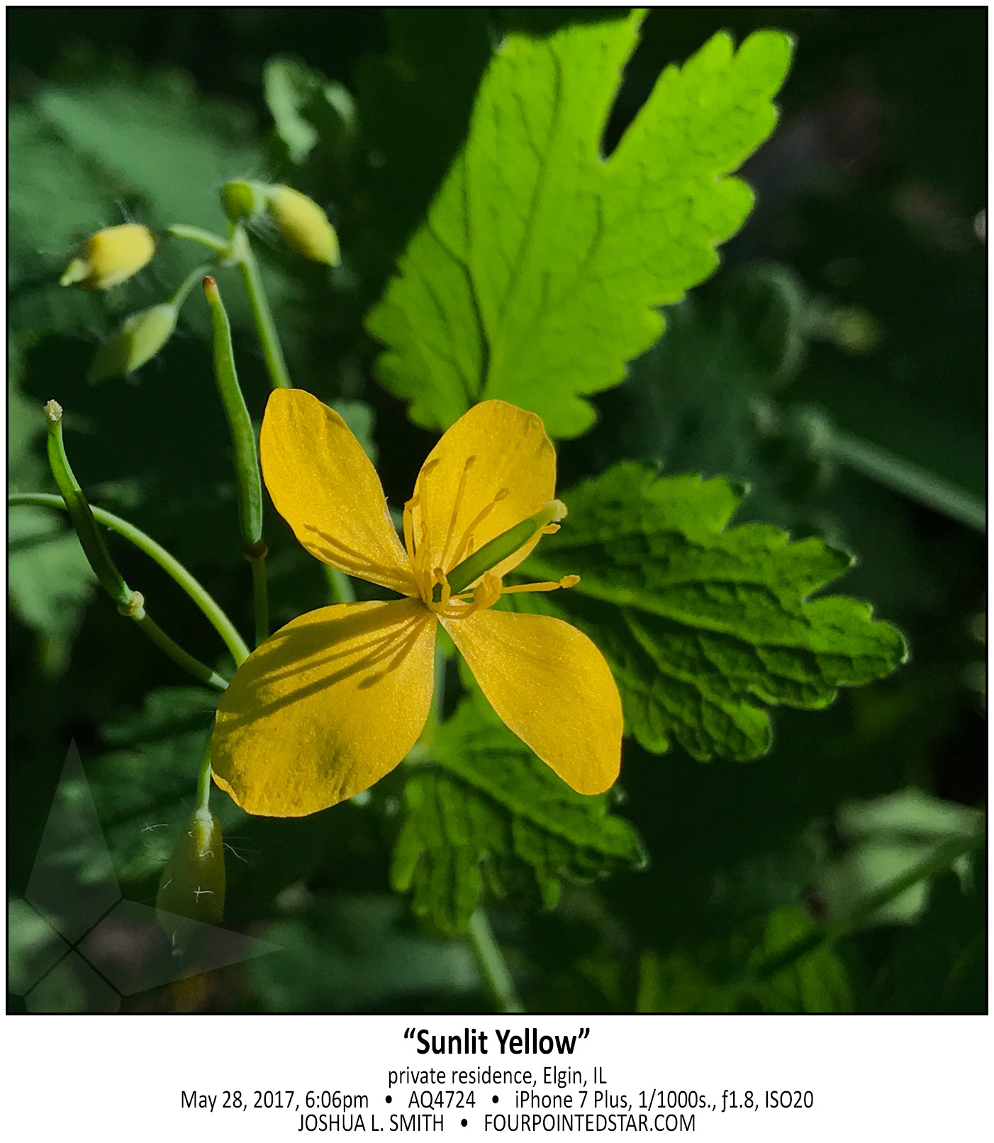 AQ4724 170528 180652