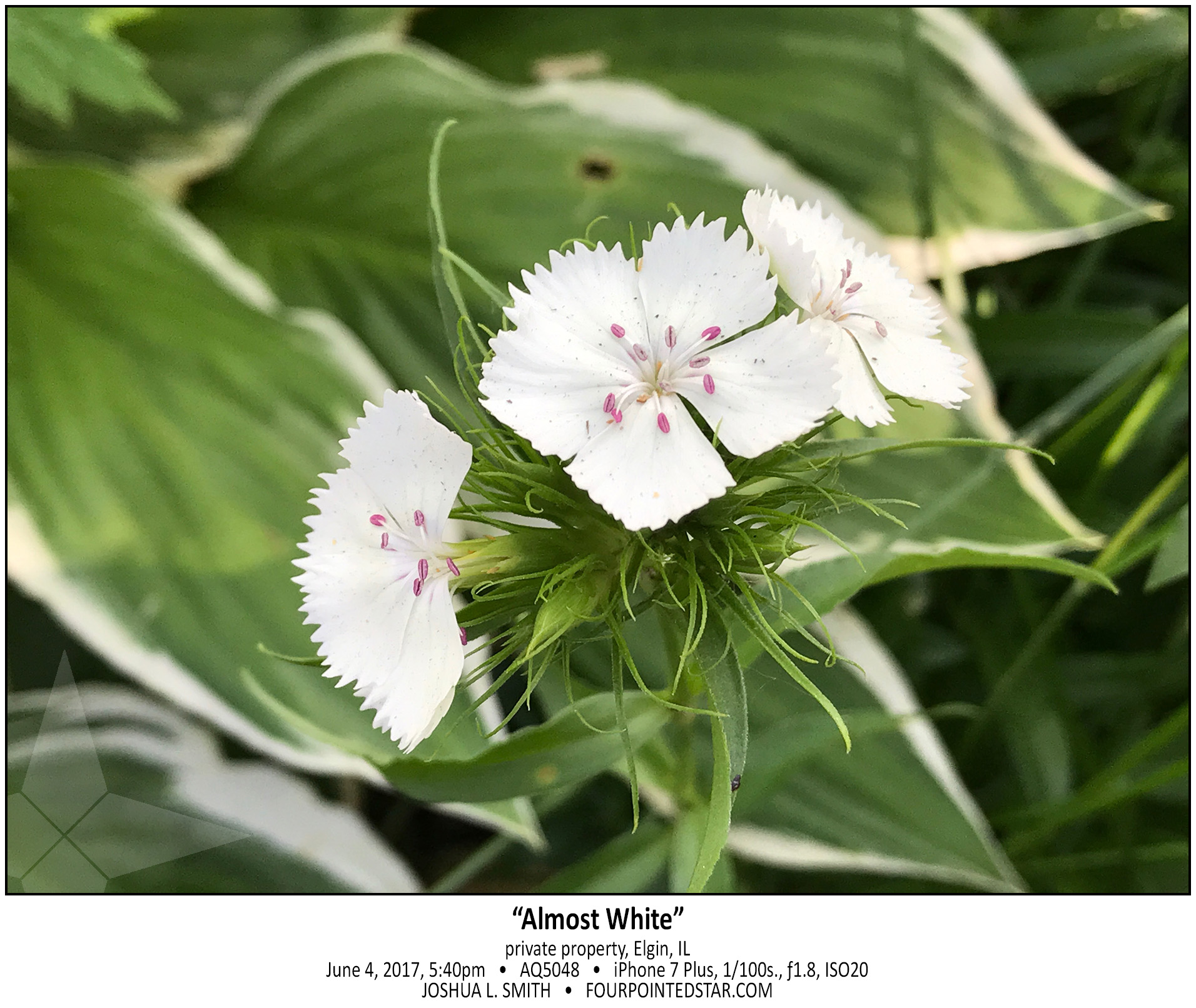 AQ5048 170604 174024