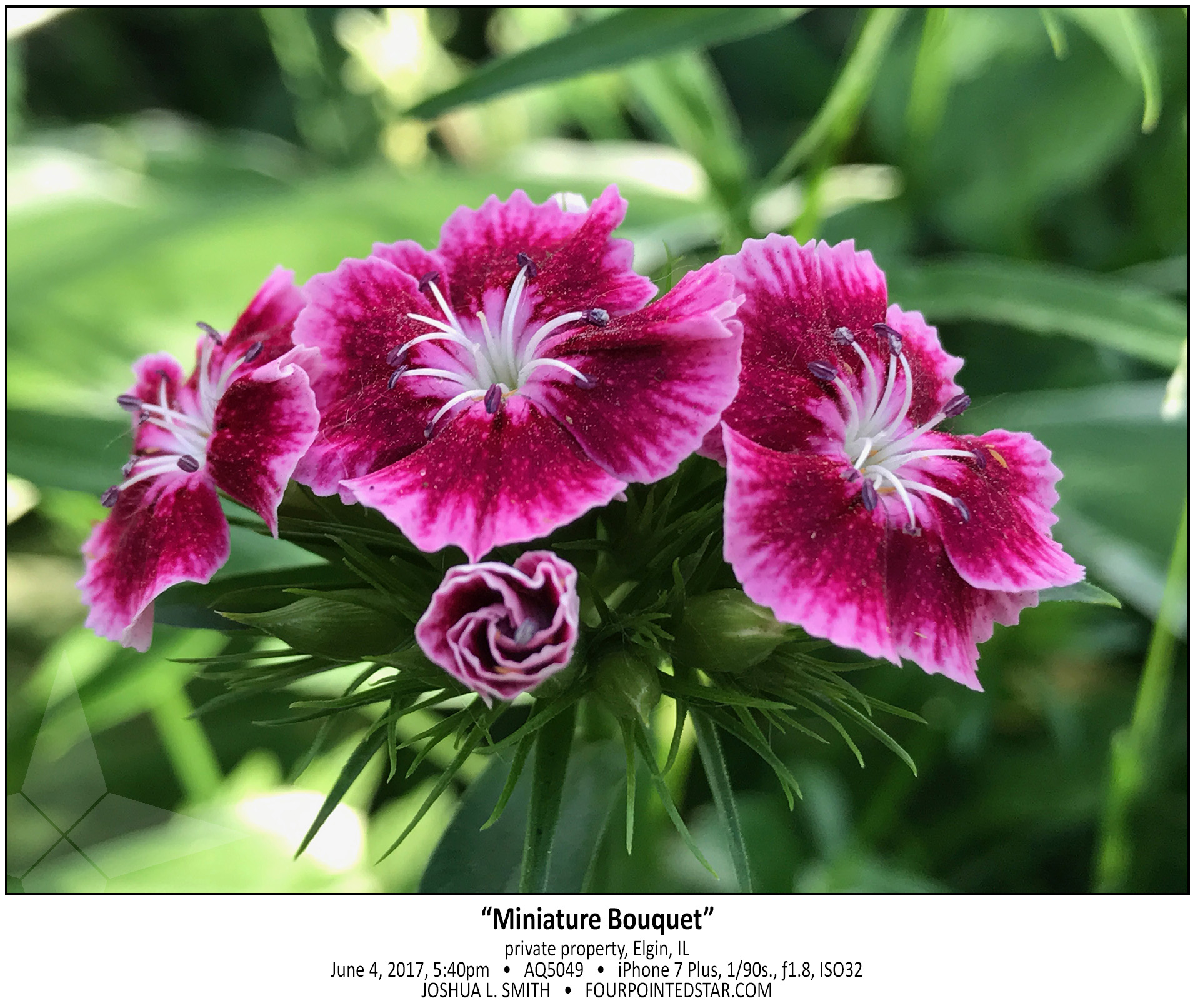 AQ5049 170604 174043