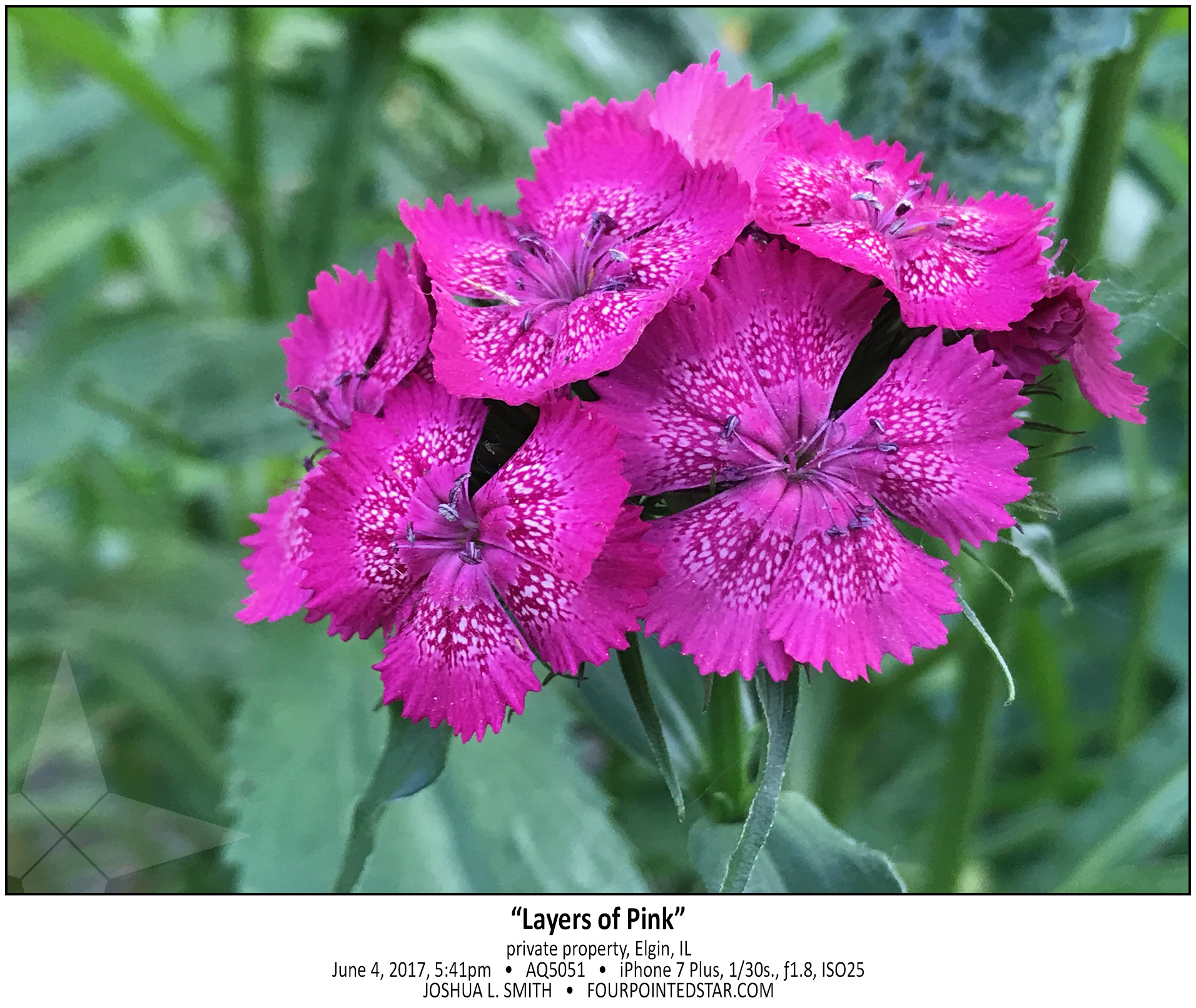 AQ5051 170604 174101