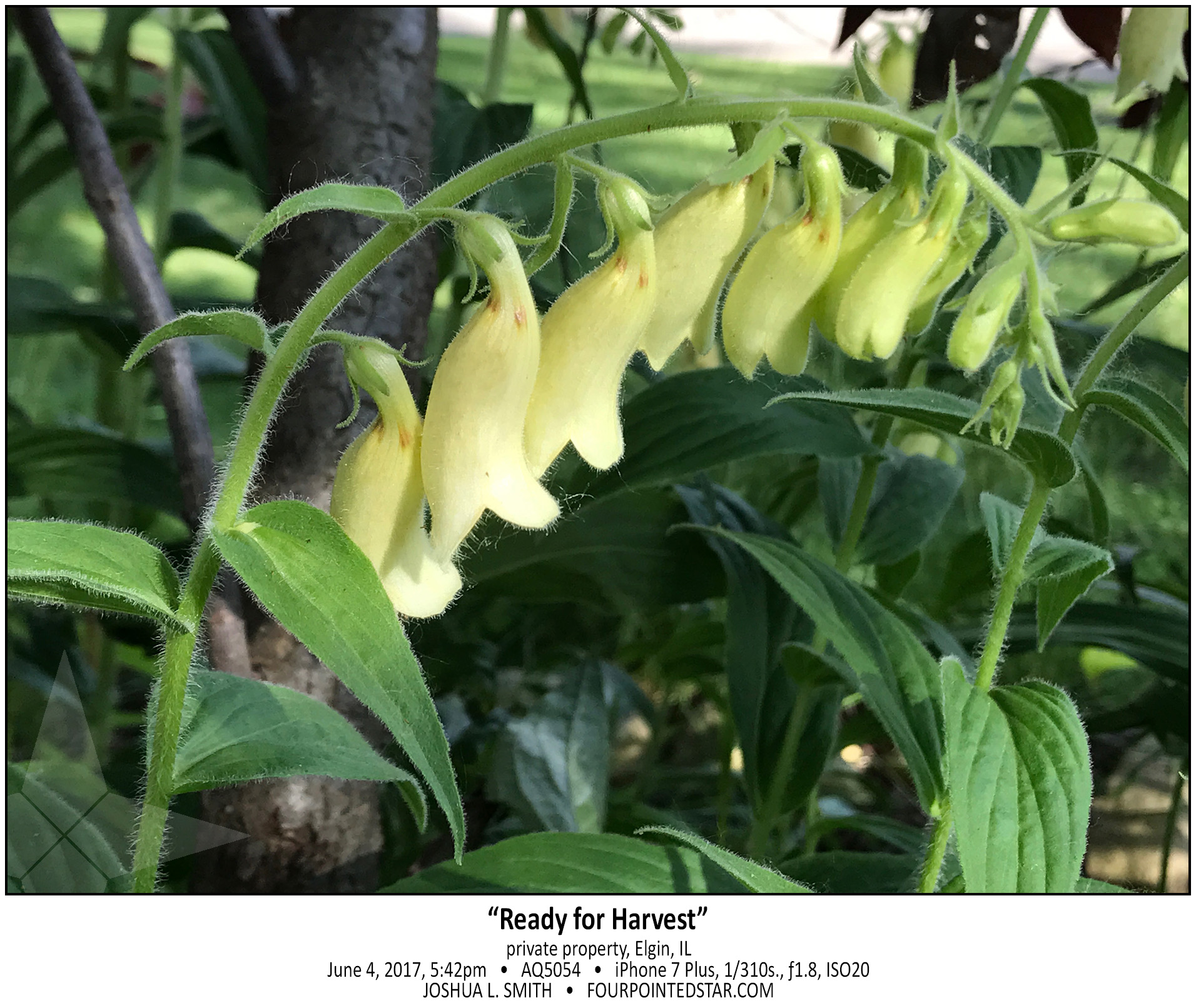 AQ5054 170604 174229