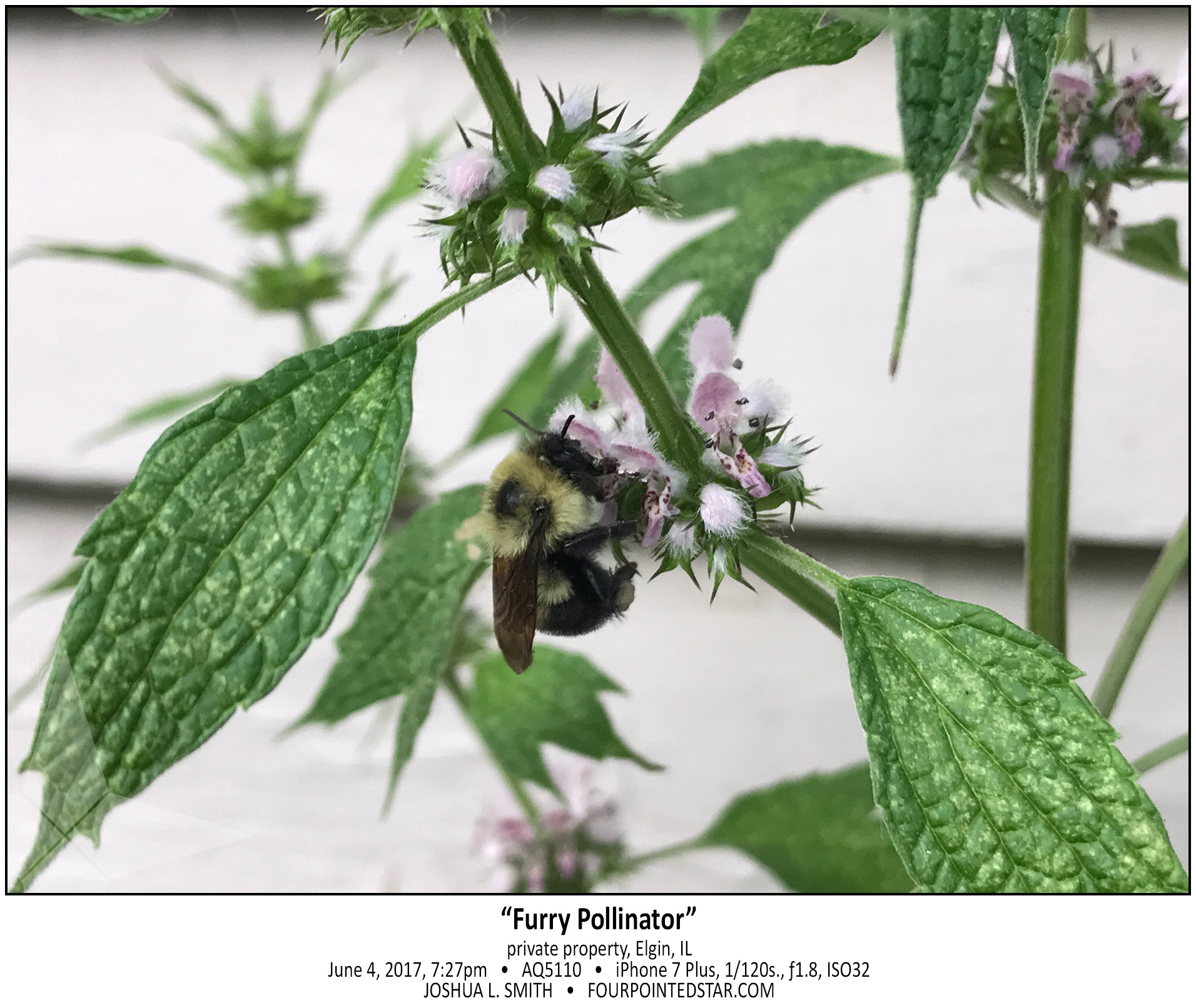 AQ5110 170609 192748 copy