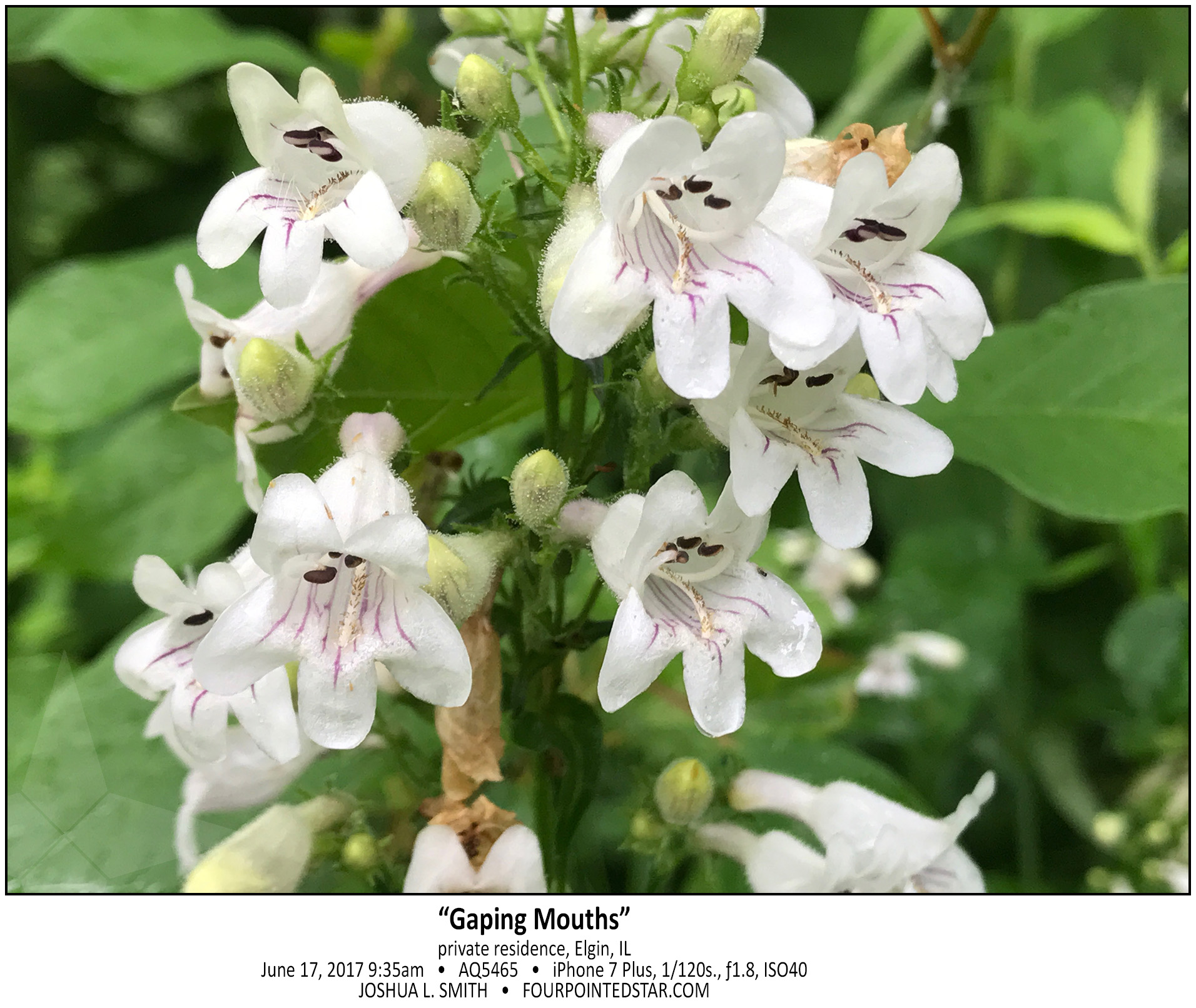 AQ5465 170617 093507