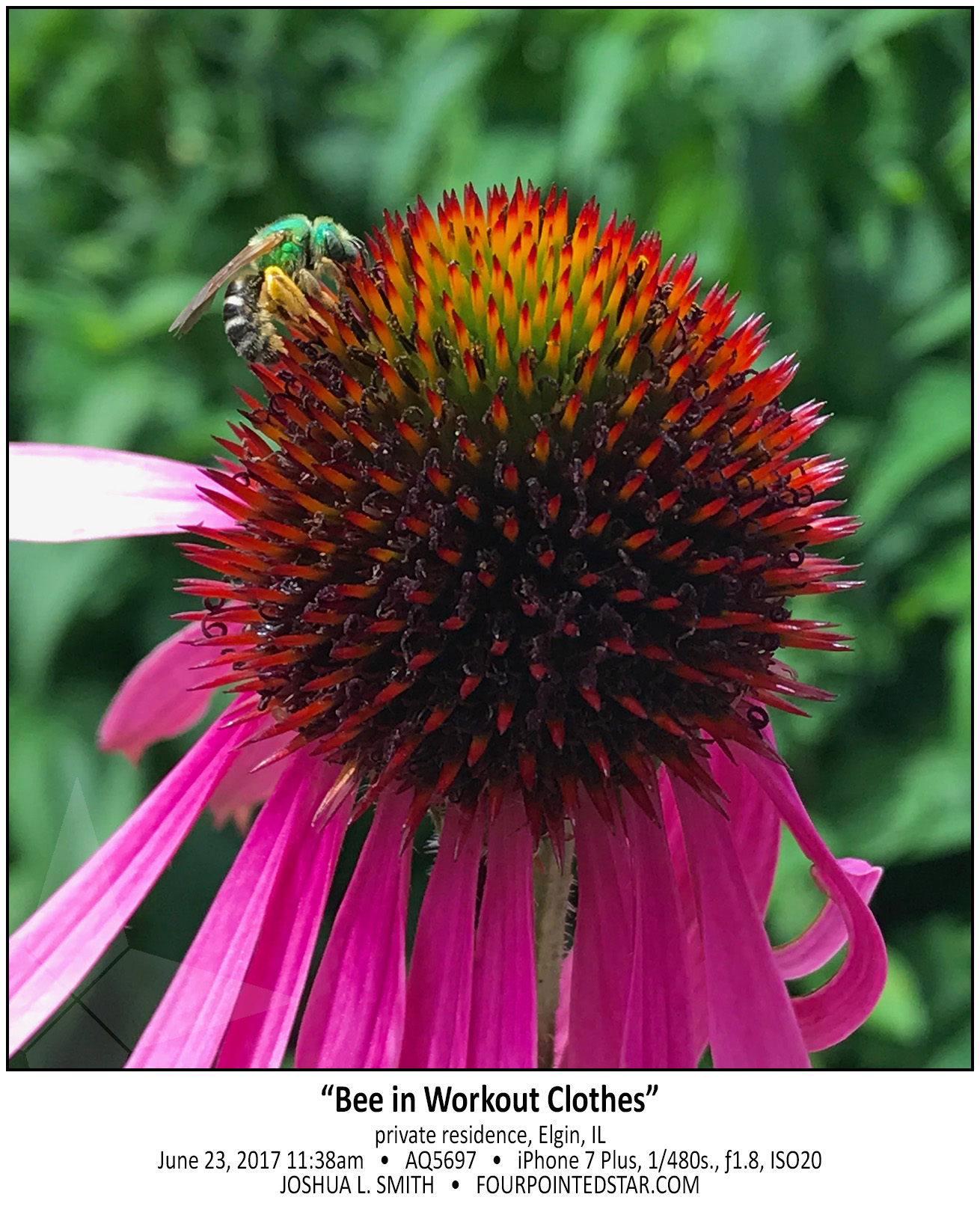 AQ5697 170623 113456