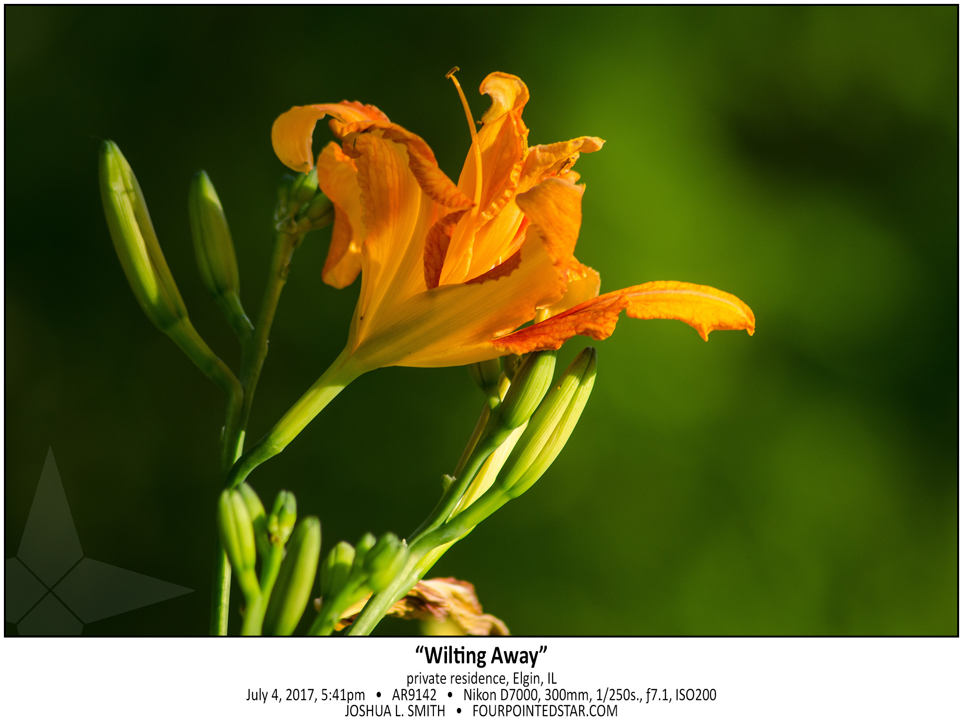 AR9142 170704 174129