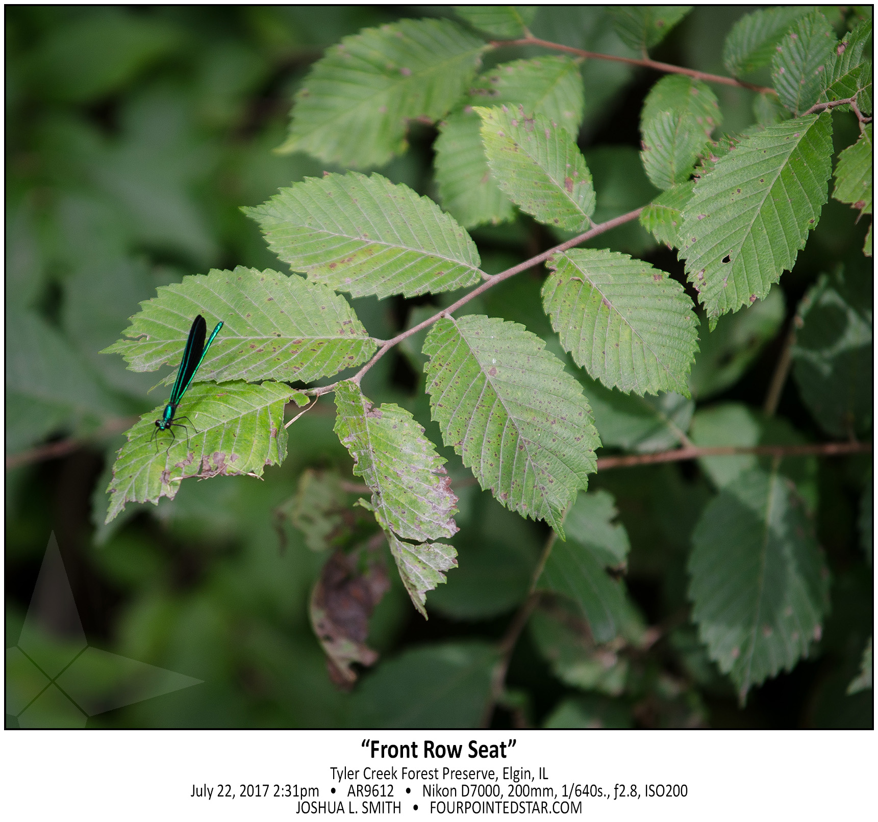 AR9612 170722 143130