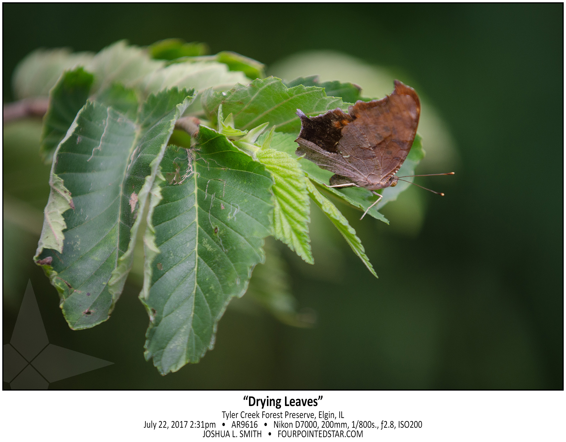 AR9616 170722 143149 copy