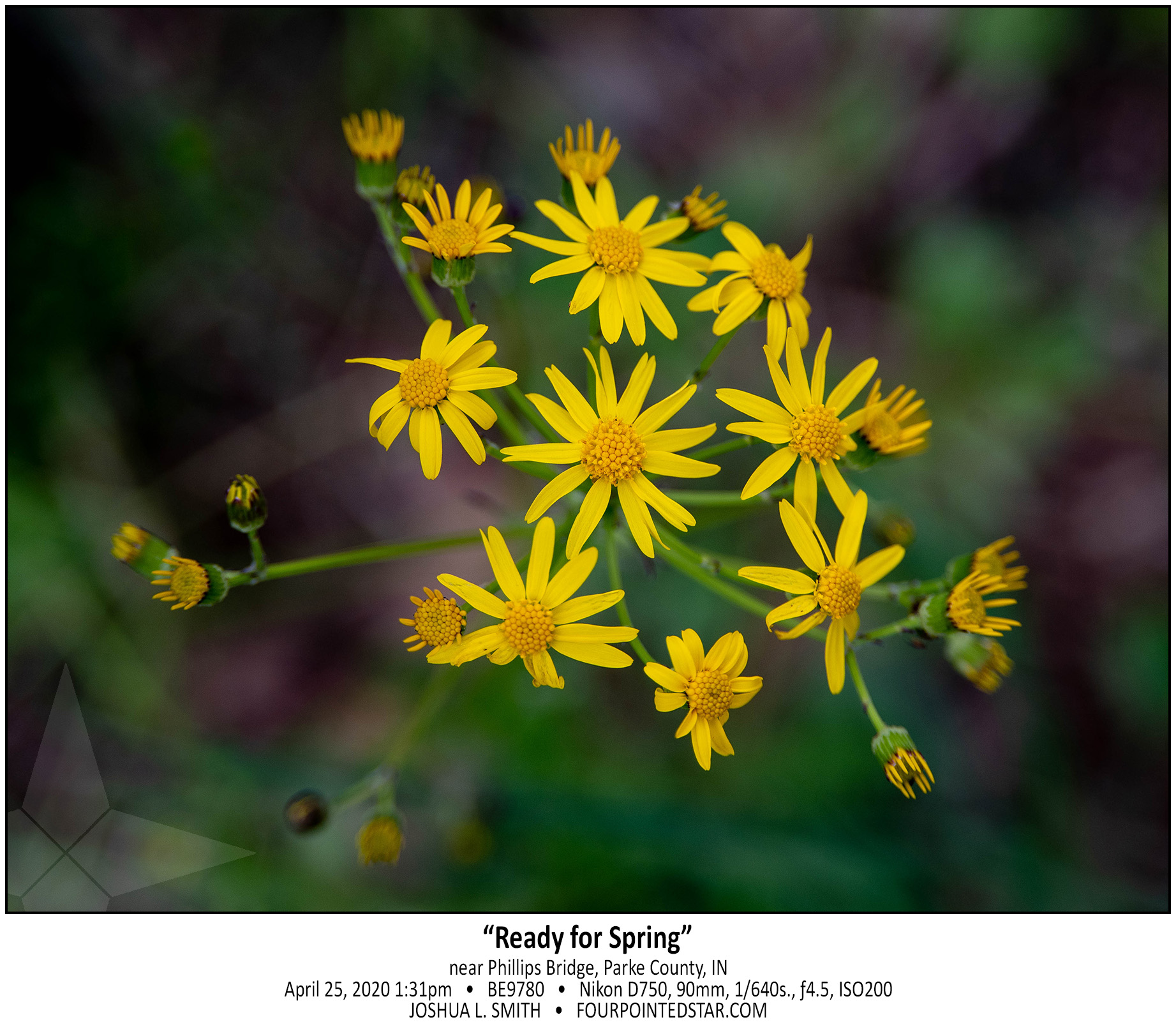 BE9780 200425 133104