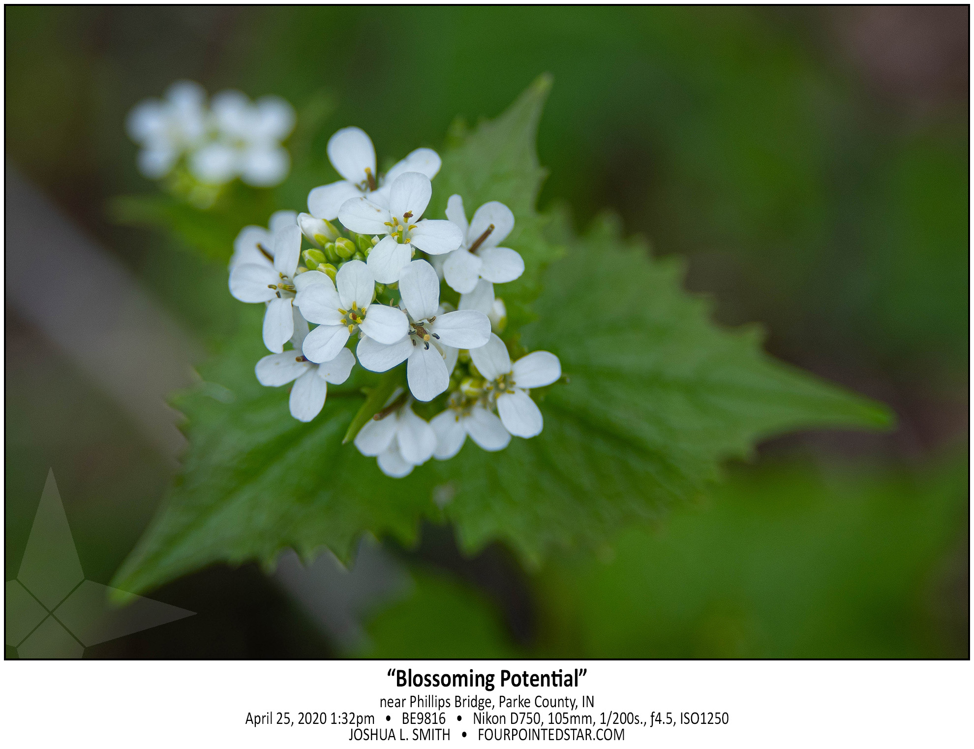 BE9816 200425 133243