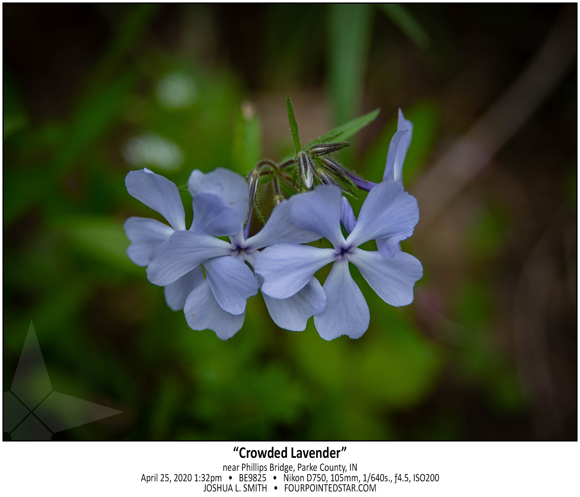 BE9825 200425 133255