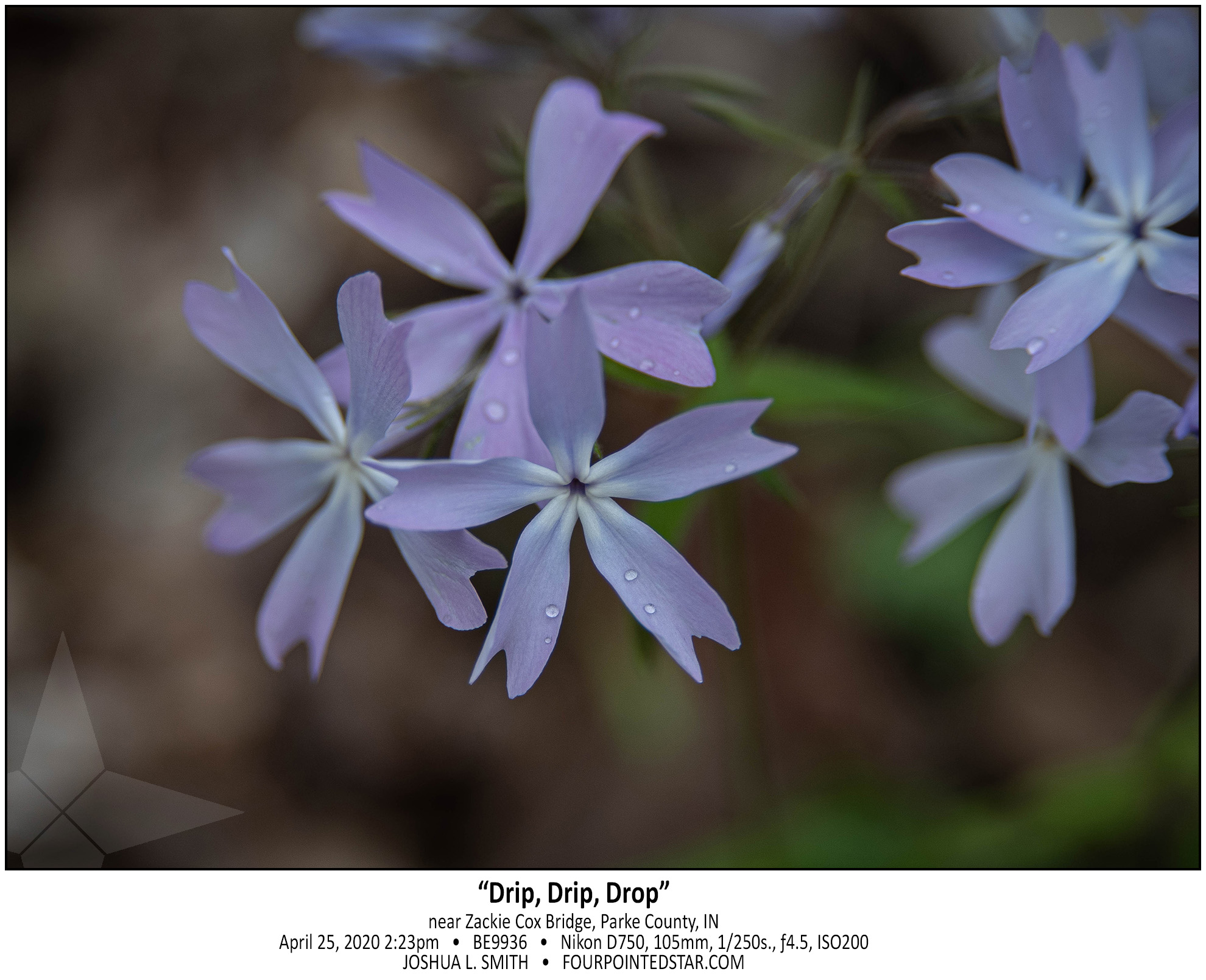 BE9936 200425 142333