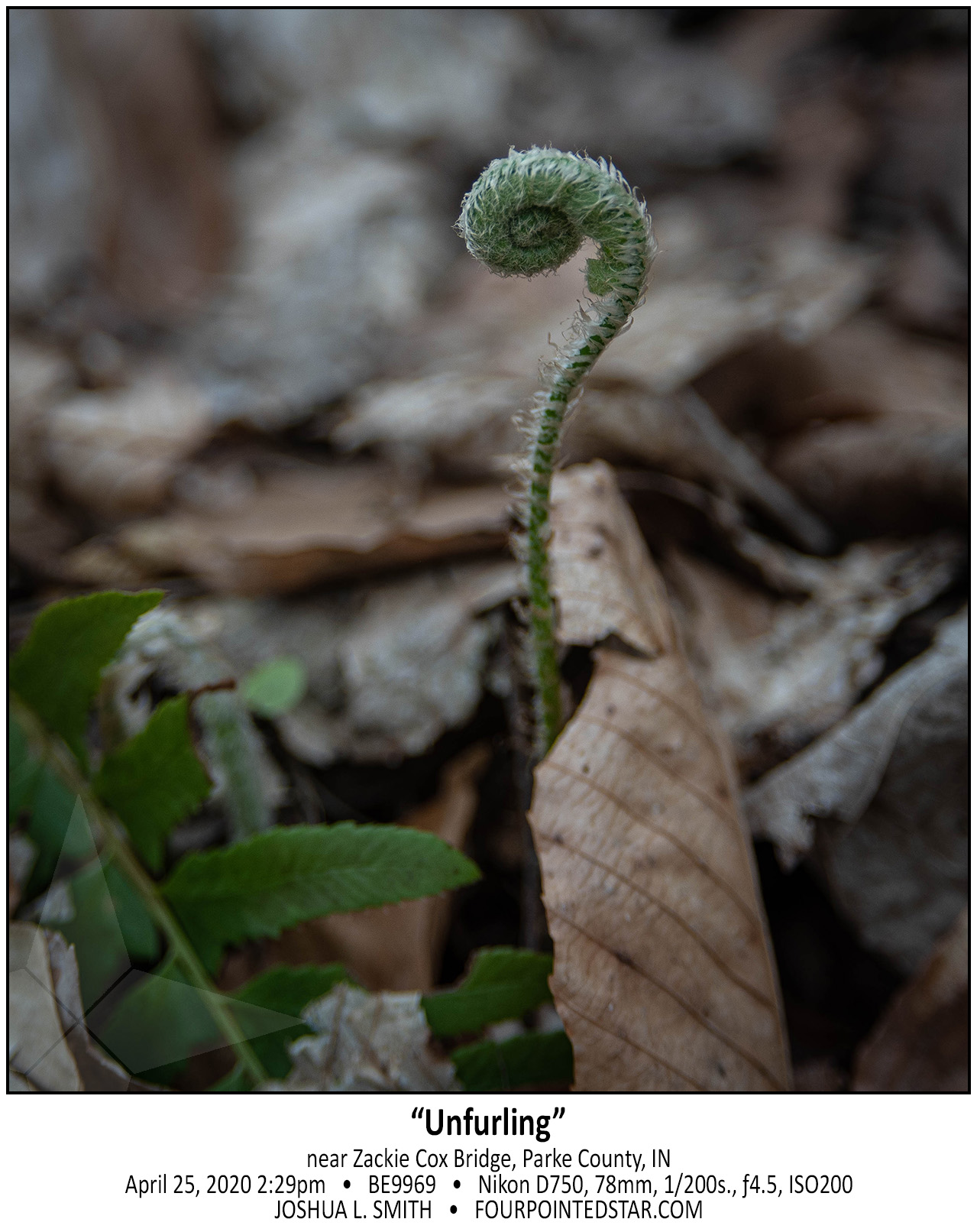 BE9969 200425 142904