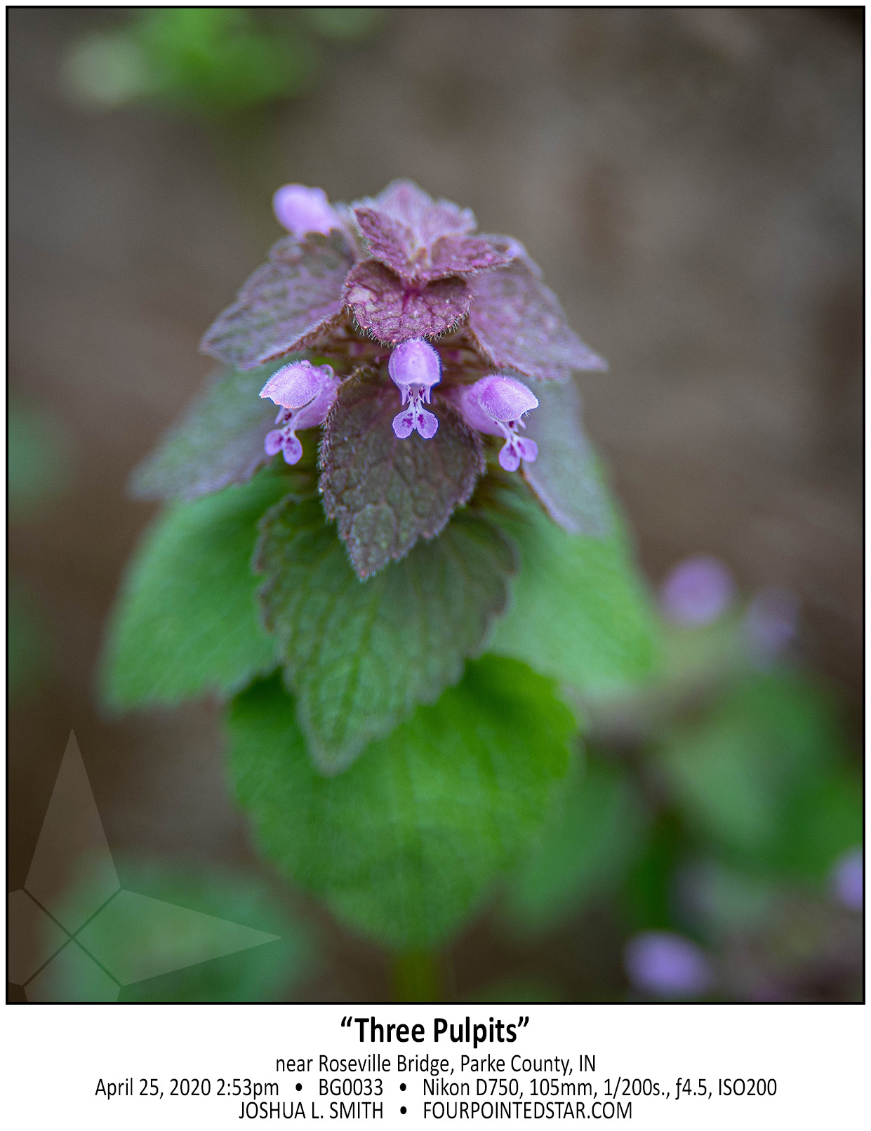 BG0033 200425 145313