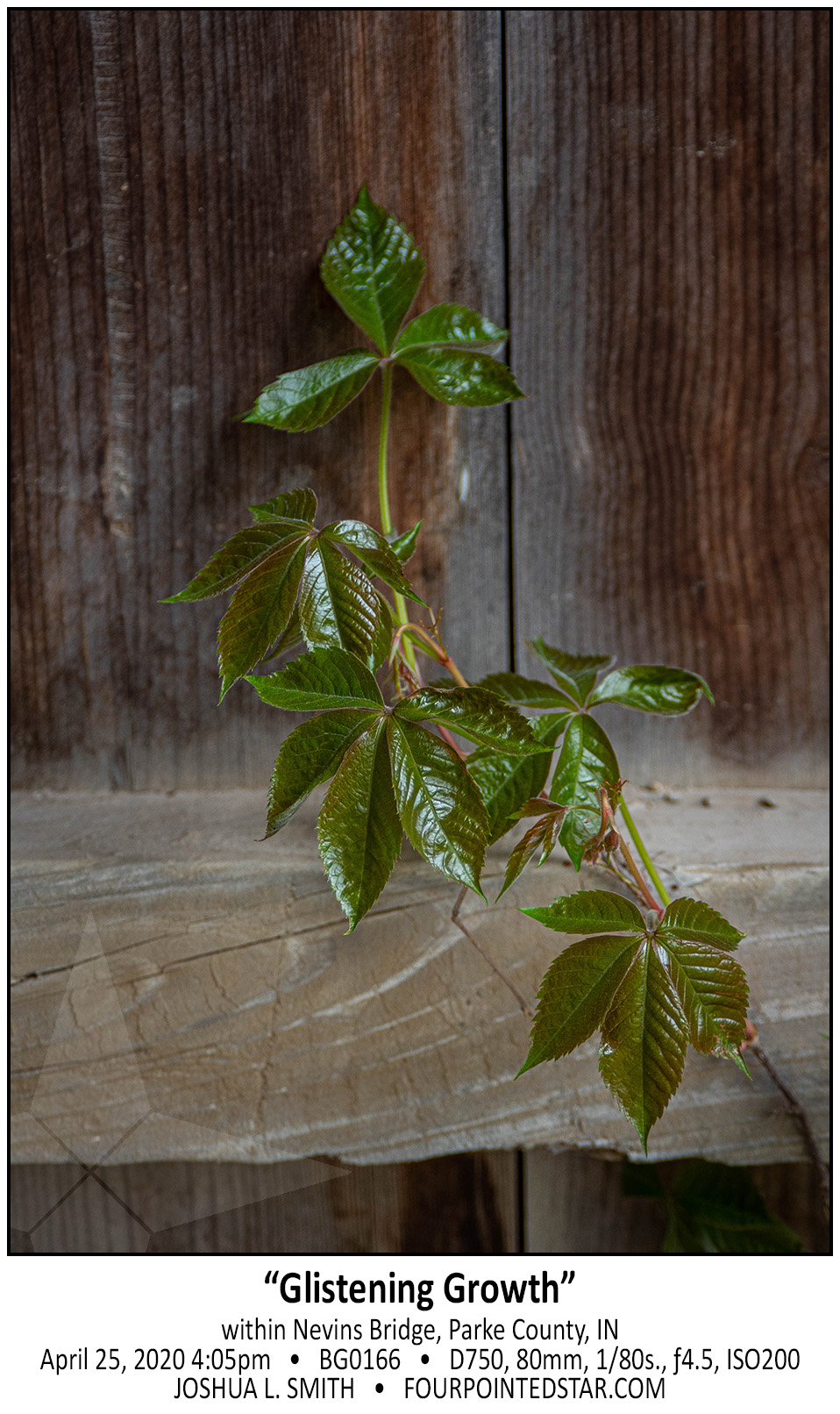 BG0166 200425 160512