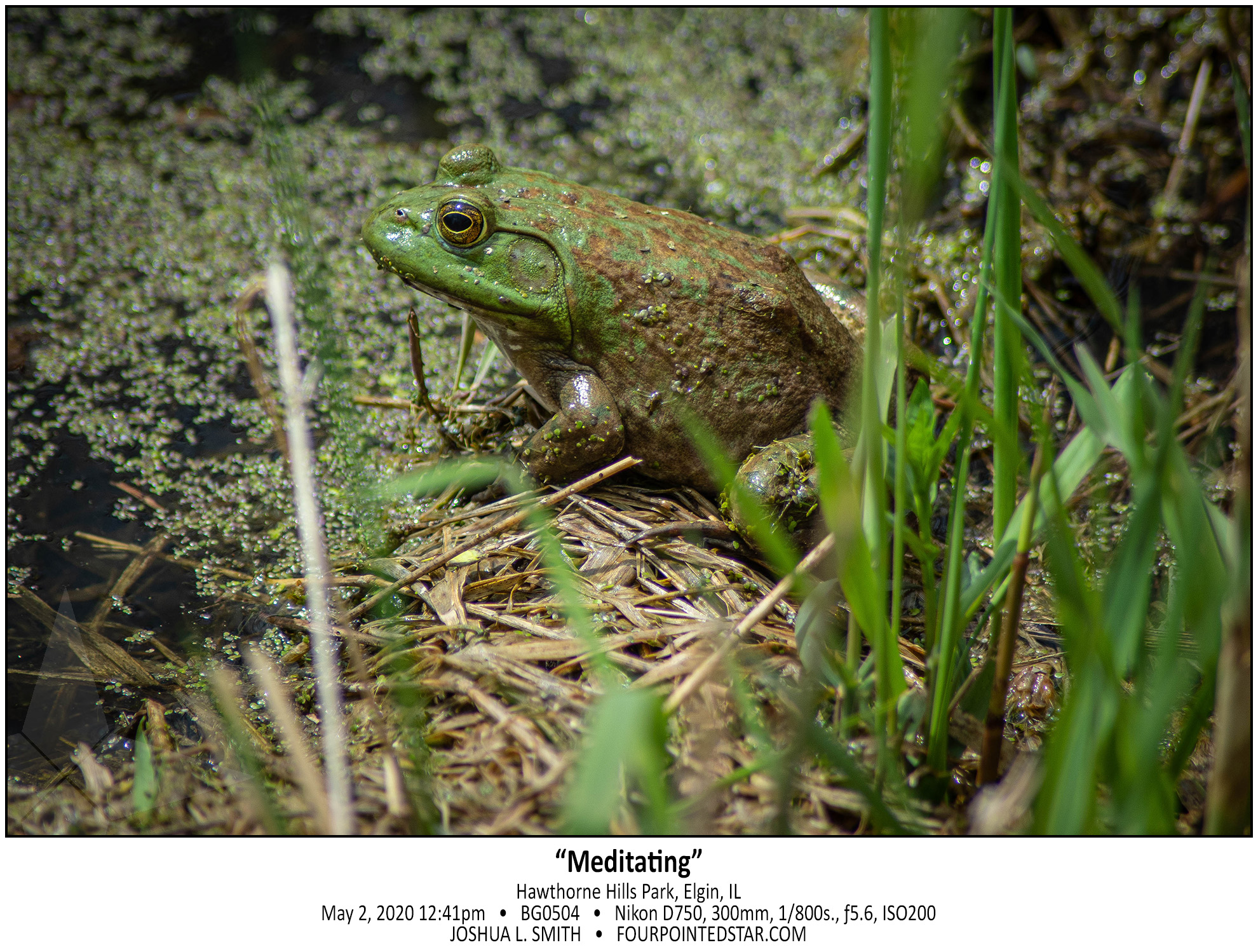 BG0504 200502 124135