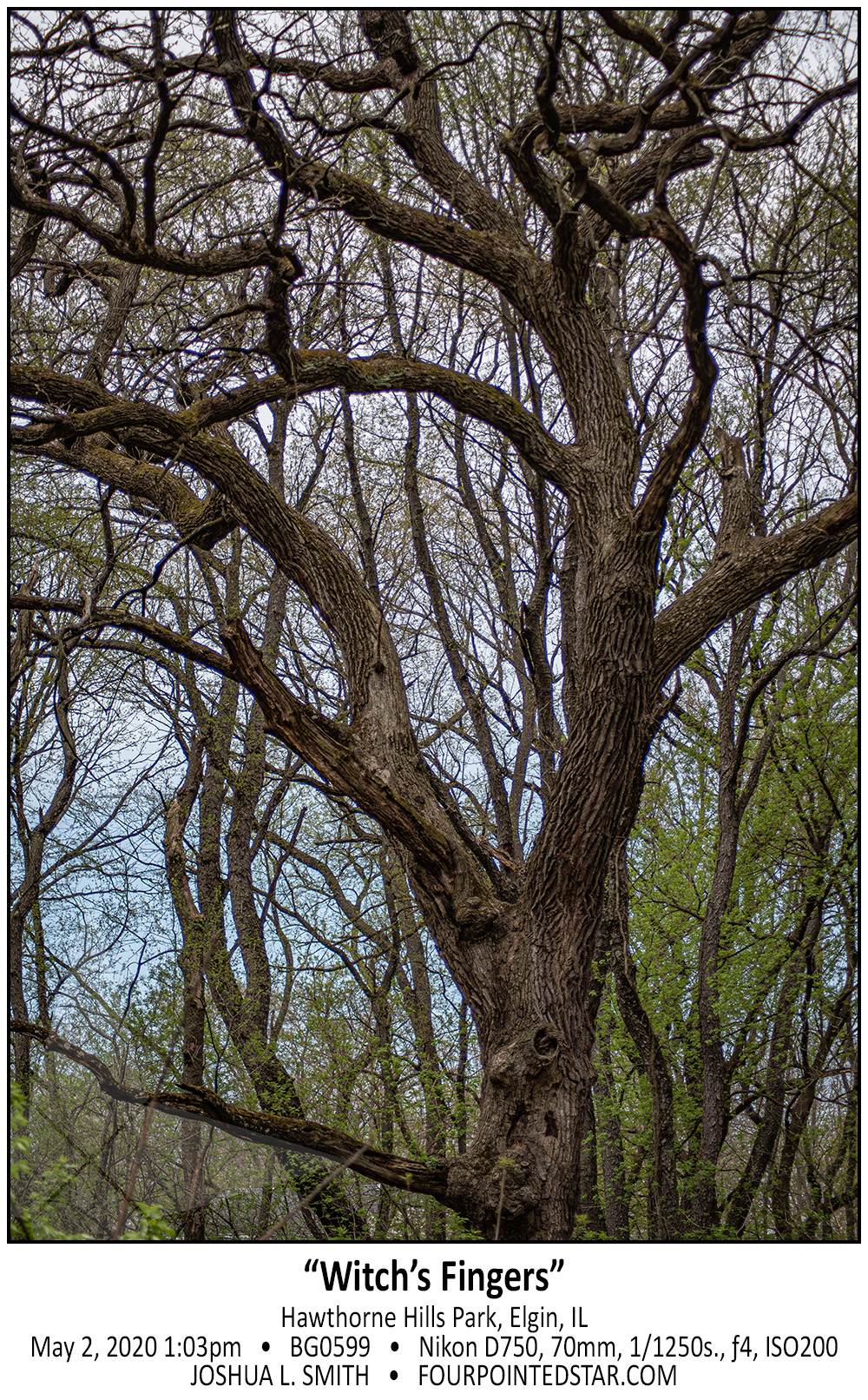 BG0599 200502 130323