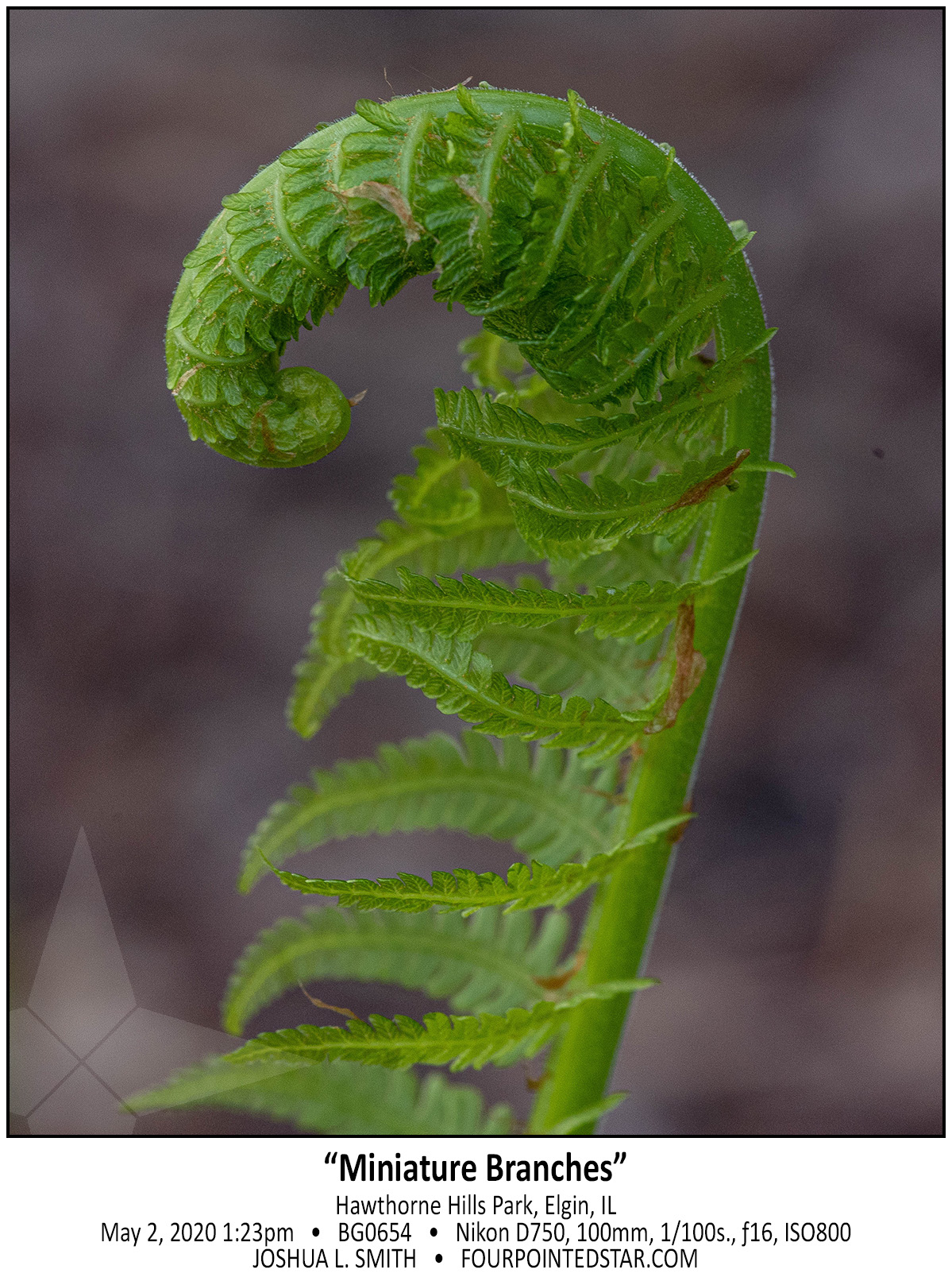 BG0654 200502 132321