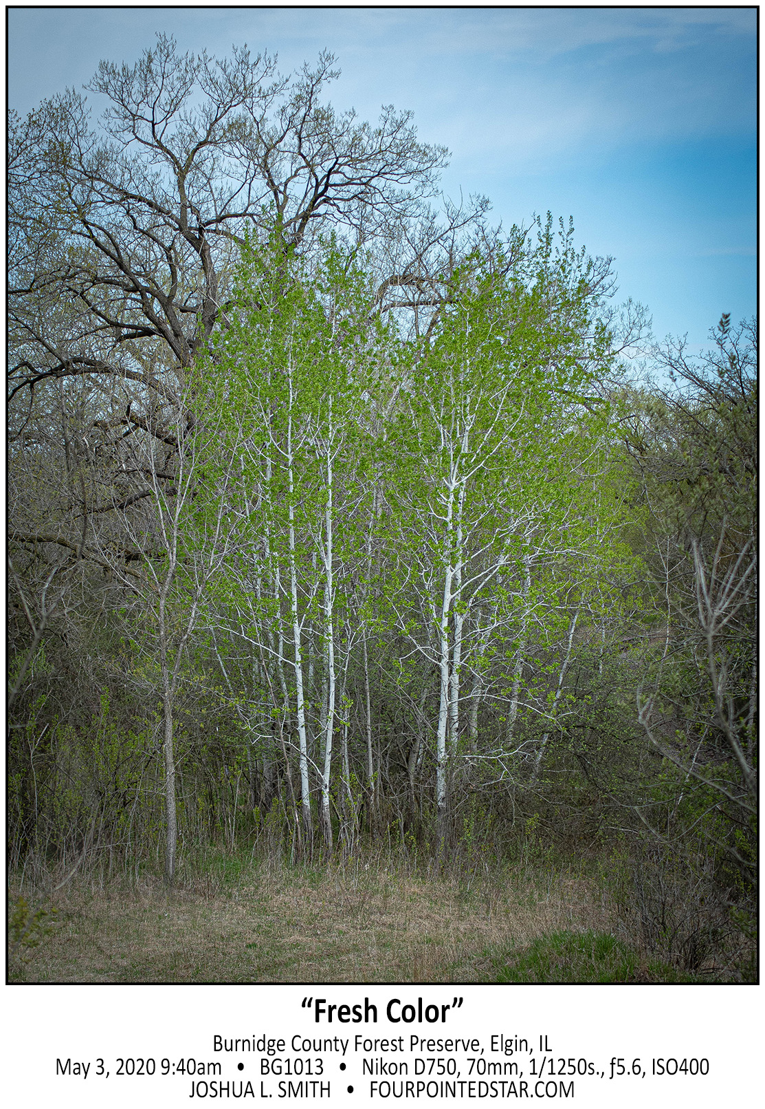 BG1013 200503 214047